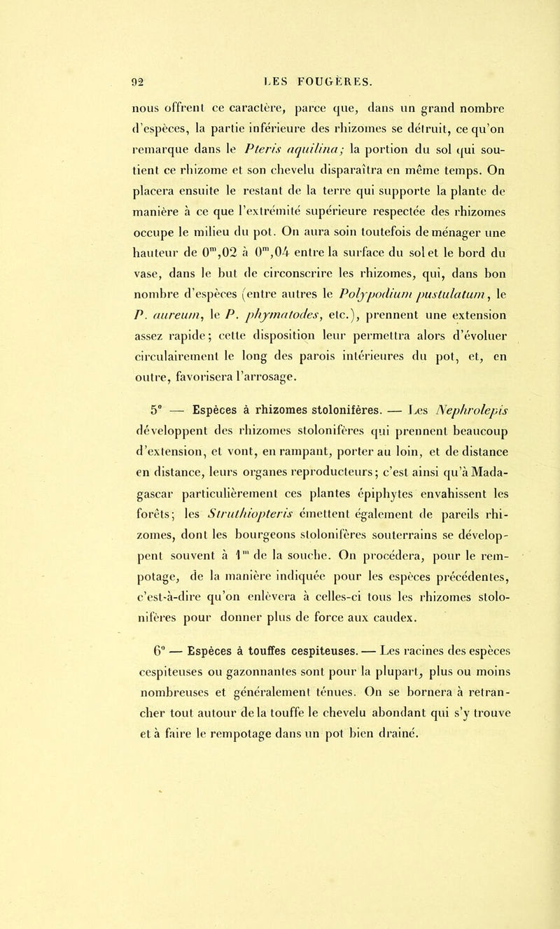 nous offrent ce caractère, parce que, dans un grand nombre d'espèces, la partie inférieure des rhizomes se détruit, ce qu'on remarque dans le Pteris aquilina; la portion du sol qui sou- tient ce rhizome et son chevelu disparaîtra en même temps. On placera ensuite le restant de la terre qui supporte la plante de manière à ce que l'extrémité supérieure respectée des rhizomes occupe le milieu du pot. On aura soin toutefois déménager une hauteur de 0m,02 à 0m,04 entre la surface du sol et le bord du vase, dans le but de circonscrire les rhizomes, qui, dans bon nombre d'espèces (entre autres le Polypodium pustulatum, le P. aureum, le P. phymatodes, etc.), prennent une extension assez rapide. ; cette disposition leur permettra alors d'évoluer circulairement le long des parois intérieures du pot, et, en outre, favorisera l'arrosage. 5° — Espèces à rhizomes stolonifères. — Les Nephrolepis développent des rhizomes stolonifères qui prennent beaucoup d'extension, et vont, en rampant, porter au loin, et de distance en distance, leurs organes reproducteurs ; c'est ainsi qu'à Mada- gascar particulièrement ces plantes épiphytes envahissent les forets; les Struthiopteris émettent également de pareils rhi- zomes, dont les bourgeons stolonifères souterrains se dévelop- pent souvent à 1™ de la souche. On procédera, pour le rem- potage, de la manière indiquée pour les espèces précédentes, c'est-à-dire qu'on enlèvera à celles-ci tous les rhizomes stolo- nifères pour donner plus de force aux caudex. 6° — Espèces à touffes cespiteuses. — Les racines des espèces cespiteuses ou gazonnantes sont pour la plupart, plus ou moins nombreuses et généralement ténues. On se bornera à retran- cher tout autour delà touffe le chevelu abondant qui s'y trouve et à faire le rempotage dans un pot bien drainé.
