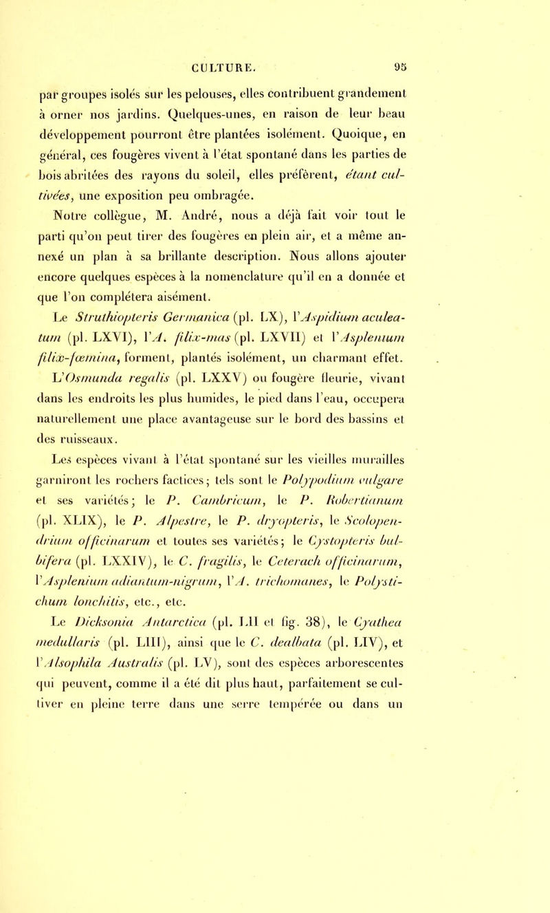par groupes isolés sur les pelouses, elles contribuent grandement à orner nos jartlins. Quelques-unes, en raison de leur beau développement pourront être plantées isolément. Quoique, en général, ces fougères vivent à l'état spontané dans les parties de bois abritées des rayons du soleil, elles préfèrent, étant cul- tivées, une exposition peu ombragée. Notre collègue, M. André, nous a déjà fait voir tout le parti qu'on peut tirer des fougères en plein air, et a même an- nexé un plan à sa brillante description. Nous allons ajouter encore quelques espèces à la nomenclature qu'il en a donnée et que l'on complétera aisément. Le Strulhiopleris Gei inanica (pl. LX), V Aspidium aculea- tum (pl. LXVI), YAt fîlix-mas (pl. LXVII) et \\4spleiuum fdix-jœmina, forment, plantés isolément, un charmant effet. UOsmunda regalis (pl. LXXY) ou fougère fleurie, vivant dans les endroits les plus humides, le pied dans l'eau, occupera naturellement une place avantageuse sur le bord des bassins et des ruisseaux. Les espèces vivant à l'état spontané sur les vieilles murailles garniront les rochers factices; tels sont le Polypodiurn vulgare et ses variétés; le P. Canibricuin, le P. Robertianum (pl. XLIX), le P. Alpestre, le P. dryopleris, le Scolopen- drium ofûcinarum et toutes ses variétés; le Gystopteris bul- bifera (pl. LXXIV), le C. fragilis, le Ceterach ufficinarurn, VAspleniuin adiantum-nigru/n, VA. trie/romanes, le Polysti- chum loncldlis, etc., etc. Le Dicksunia Antarctica (pl. LU el fig. 38), le Cjalhea medullaris (pl. LUI), ainsi que le C. dealbata (pl. LIV), et l'AIsophila Australis (pl. LV), sont des espèces arborescentes qui peuvent, comme il a été dit plus haut, parfaitement se cul- tiver en pleine terre dans une serre tempérée ou dans un