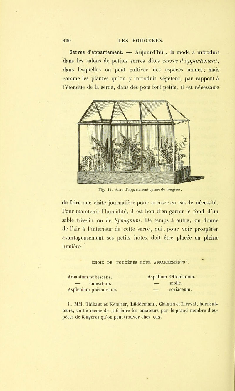 Serres d'appartement. — Aujourd'hui, la mode a introduit dans les salons de petites serres dites serres d'appartement, dans lesquelles on peut cultiver des espèces naines ; mais comme les plantes qu'on y introduit végètent, par rapport à l'étendue de la serre, dans des pots fort petits, il est nécessaire Fig. 42. Serre d'appartement garnie de fougères. de faire une visite journalière pour arroser en cas de nécessité. Pour maintenir l'humidité, il est bon d'en garnir le fond d'un sable très-fin ou de Sphagnum. De temps à autre, on donne de l'air à l'intérieur de cette serre, qui, pour voir prospérer avantageusement ses petits hôtes, doit être placée en pleine lumière. CHOIX DE FOUGÈRES POUR APPARTEMENTS1. Adiantum pubescens. Aspidium Ottonianum. — cuneatum. — molle. Asplenium prœmorsum. — coriaceum. 1. MM. Thibaut et Keteleer, Liiddemann, Chantin et Lierval, horticul- teurs, sont à même de satisfaire les amateurs par le grand nombre d'es- pèces de fougères qu'on peut trouver chez eux.