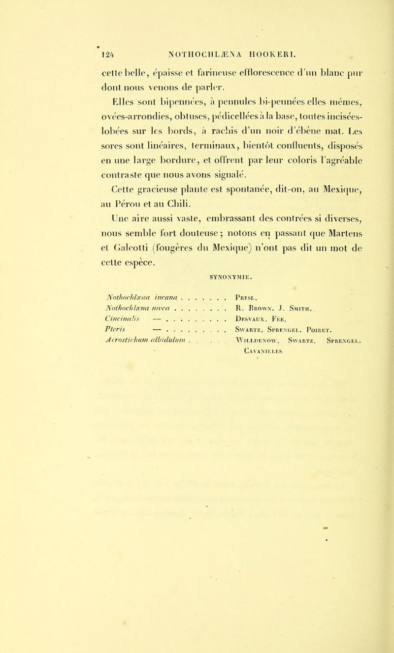 124 NOTHOCHLiENA HOOKERI. cette ]>ellc, épaisse et farineuse efflorescence d'un blanc pur dont nous venons de parler. Klles sont bipennées, à pennules bi-pennées elles mêmes, ovées-arrondies, obtuses, pédicellées à la base, toutes incisées- lobées sur les bords, à racliis d'un noir d'ébène mat. Les sores sont linéaires, terminaux, bientôt confluents, disposés en une large bordure, et offrent par leur coloris l'agréable contraste que nous avons signalé. Cette gracieuse plante est spontanée, dit-on, au Mexique, au Pérou et au Cbili. Une aire aussi vaste, embrassant des contrées si diverses, nous semble fort douteuse ; notons en passant que Martens et Galeotti (fougères du Mexique) n'ont pas dit un mot de cette espèce. SYNONYMIE. Nothocldsetia incana . . Nothoelilxna nivea . . . Cincinnlis — . . . . Ptcris — . . . . Jcrosticltuin albiduliun . Prfsl . R. Brown. J. Smith. Des vaux. Fée. Swartz. Sprfjngel. Poiret. Wili.deîn'ow. Swartz. Sprengel. Cavanilles