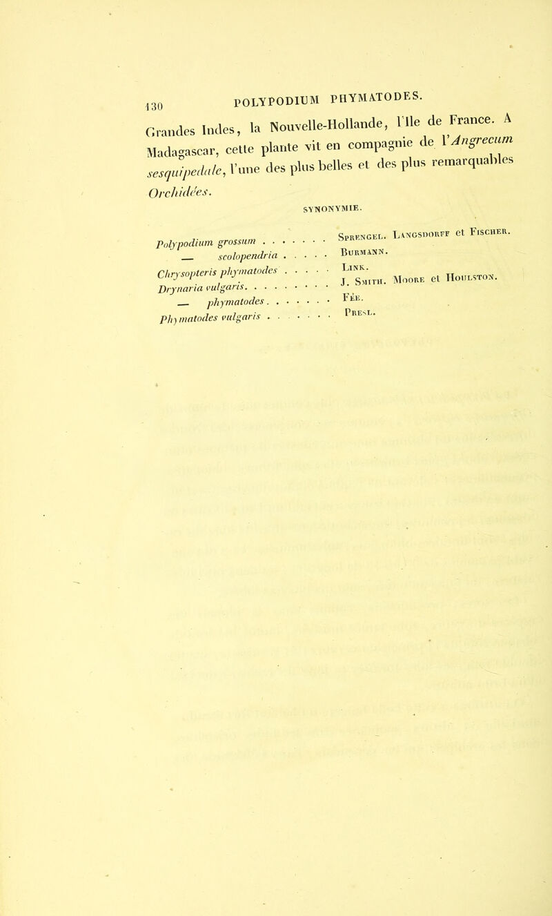 Grandes Indes, la Nouvelle-Hollande, 111e de France. A Madagascar, ce»e plante vit en compagnie de l Jngreaum sesquipeàa Orchidées. le, l'une des plus belles et des plus remarquables SYNONYMIE. Spréngel. L.vngsborff et Fischer. Polypodium grossum _ scolopendria Burmawn. Chrysopterisphymatodes Link^ ^ ^ ^ ^ Drynaria vulgans J • phymatodes FÉE. Phjmatodes vulgaris Pkesi..