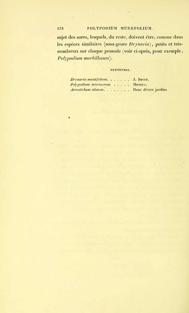 sujet des sores, lesquels, du reste, doivent être, comme dans les espèces similaires (sous-genre Drjnarid), petits et très- nombreux sur chaque pennule (voir ci-après, pour exemple, Polypodium morbillosum). SYNONYMIE. Drynaria musœfolium. , Polypodium microsorum Acroslichum alatitm. . . J. Smith. Metten. Dans divers jardins.