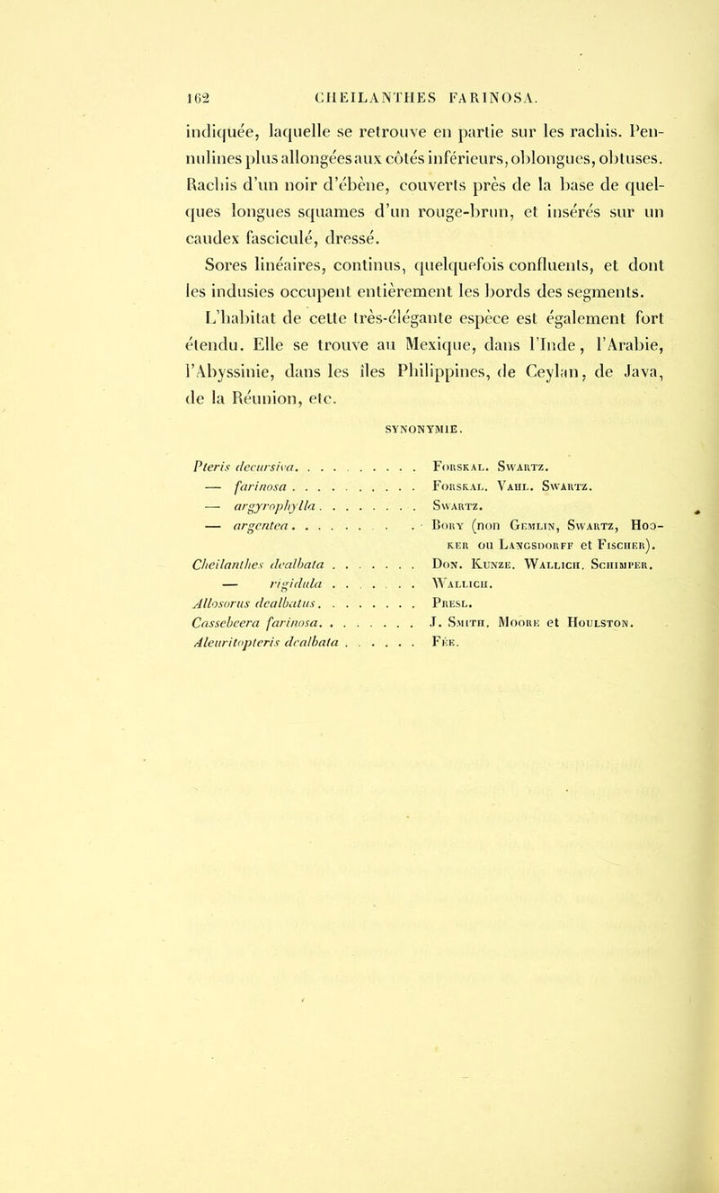 indiquée, laquelle se retrouve en partie sur les rachis. Pen- nulines plus allongées aux côtés inférieurs, oblongues, obtuses. Rachis d'un noir d'ébène, couverts près de la base de quel- ques longues squames d'un rouge-brun, et iusérés sur un caudex fascicule, dressé. Sores linéaires, continus, quelquefois confluents, et dont les indusies occupent entièrement les bords des segments. L'habitat de cette très-élégante espèce est également fort étendu. Elle se trouve au Mexique, dans l'Inde, l'Arabie, l'Abyssinie, dans les îles Philippines, de Ceyhtn, de Java, de la Réunion, etc. SYNONYMIE. Pleris dccursiva — farinosa — argyrophylla. . . — argcntea CJieilanthes dcalhata . . — rigidula . . Allosorlis dcalbatus. . . Cassebcera farinosa. . . dleitritopteris dcalhata . FORSKAL. SwARTZ. FORSRAL. VAHL. SWARTZ. S\VARTZ. Bory (non Gemlin, Swartz, Hoo- ker ou La\gsdorff et Fischer). Don. Kunze. Wallich. Schimper. Wallich. Presl. J. Smith. Moore et Houlston. Fée.