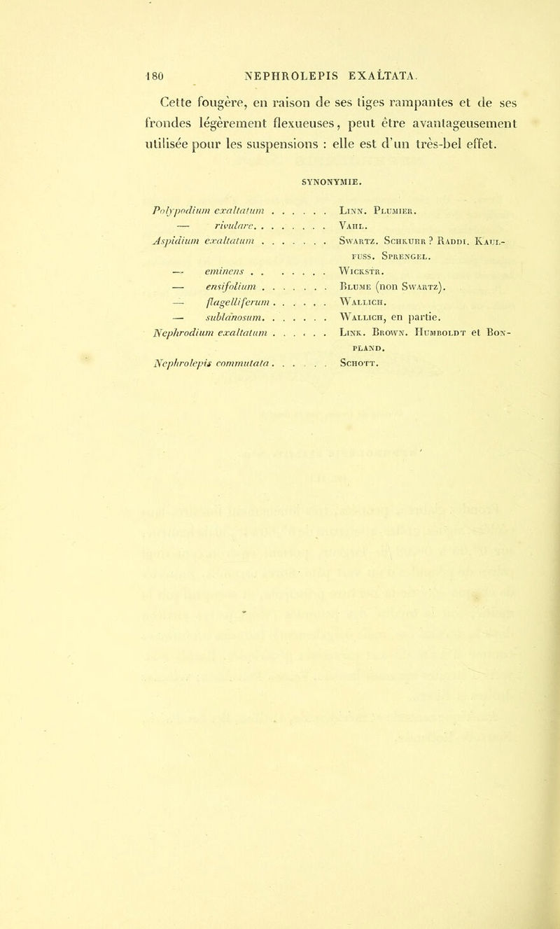 Cette fougère, en raison de ses tiges rampantes et de ses frondes légèrement flexueuses, peut être avantageusement utilisée pour les suspensions : elle est d'un très-bel effet. SYNONYMIE. Pnlypodium exaltation Linn. Plumier. — rivulare Vaiil. Aspidium exaltation Swartz. Schkuhr ? Raddi. K'aul- fuss. Sprengel. ~ eminens Wickstr. — ensifolium Blume (non Swartz). — flagelliferum Wallich. — sublànosum Wallich, en partie. Nephrodium exaltatum ...... Link. Brown. Humroldt et Bon- pland.