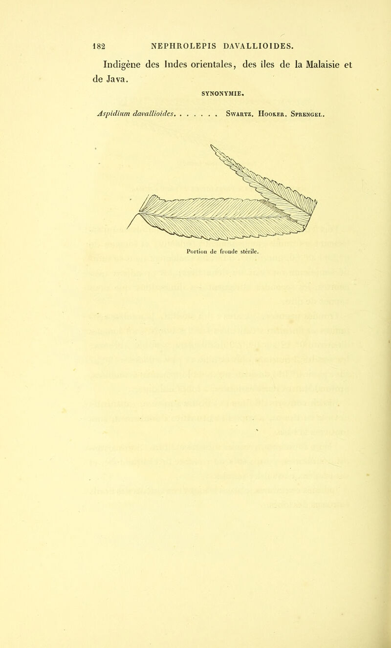 Indigène des Indes orientales, des îles de la Malaisie de Java. SYNONYMIE, Aspiclium davallioidcs Swartz. Hoorek. Sprengel.