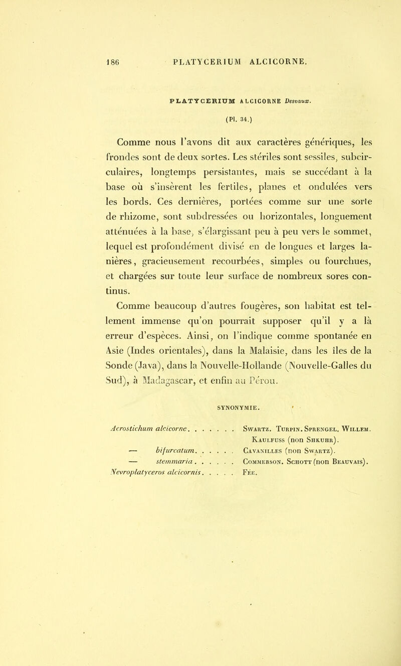 186 PLATYCERIUM ALCICORNE. PLATYCERIUM ALCICORNE Desvaux. (PI. 34.) Comme nous l'avons dit aux caractères génériques, les frondes sont de deux sortes. Les stériles sont sessiles, subcir- culaires, longtemps persistantes, mais se succédant à la base où s'insèrent les fertiles, planes et ondulées vers les bords. Ces dernières, portées comme sur une sorte de rhizome, sont subdressées ou horizontales, longuement atténuées à la base; s'élargissant peu à peu vers le sommet, lequel est profondément divisé en de longues et larges la- nières, gracieusement recourbées, simples ou fourchues, et chargées sur toute leur surface de nombreux sores con- tinus. Comme beaucoup d'autres fougères, son habitat est tel- lement immense qu'on pourrait supposer qu'il y a là erreur d'espèces. Ainsi 7 on l'indique comme spontanée en Asie (Indes orientales), dans la Malaisie, dans les îles de la Sonde (Java), dans la Nouvelle-Hollande (Nouvelle-Galles du Sud), à Madagascar, et enfin au Pérou. SYNONYMIE. Acrostichurn alcicorne Swartz. Turpin. Sprengel. Willem. Kaulfuss (non Shruhr). — bifurcatum Cavanilles (non Swartz). — stemmaria Commerson. Schott (non Beauvais). Nevroplatyceros alcicornis Fée.