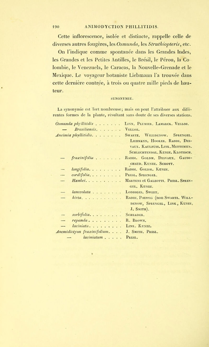 Cette inflorescence, isolée et distincte, rappelle celle de diverses autres fougères, les Osmunda, les Struthiopteris, etc. On l'indique comme spontanée dans les Grandes Indes, les Grandes et les Petites Antilles, le Brésil, le Pérou, la Co lombie, le Venezuela, le Caracas, la Nouvelle-Grenade et le Mexique. Le voyageur botaniste Liebmann l'a trouvée dans cette dernière contrée, à trois ou quatre mille pieds de bau- teur. SYNONYMIE. La synonymie est Tort nombreuse; mais on peut l'attribuer aux diffé- rentes formes de la plante, résultant sans doute de ses diverses stations. Osmunda phyllitidis Linn. Plumier. Lamarck.. Velloz. — Brasiliensis Velloz. Aneimia phyllitidis Svvartz. Willdenow. Sprengel. Liebmann. Hooker. Raddi. Des- vaux. Kaulfuss. Link.Mettenius. Schlechtendal. Kunze. Klotzsch. — fraxinifolia Raddi. Goldm. Desvaux. Gaudi- chaud.Kunze. Schott. — longifolia Raddi. Goldm. Kunze. — cordifolia Presl. Sprengel. — Heenkei Martens et Galeotti. Presl. Spren- gel. Kunze. — lanceolata Loddiges. Sweet. — hirta Raddi. Poeppig (non Swartz. Will- denow, Sprengel, Link., Kunze, J. Smith). — sorbifolia. . . Schrader. — repanda R. Brown. — laciniata Link. Kunze. Anemidictyon fraxinifolium. ... J. Smith. Presl. — laciniatum Presl.