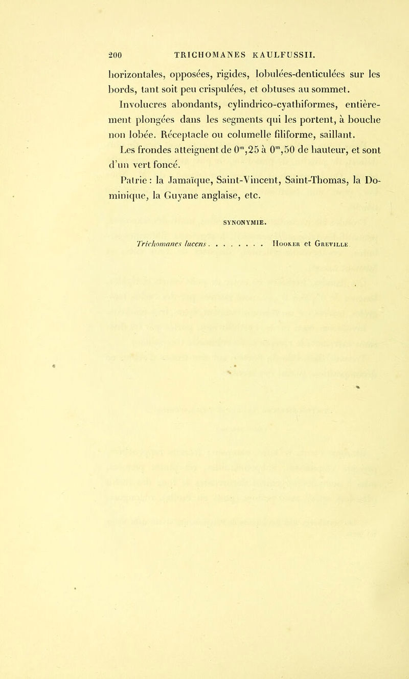 200 TRICHOMANES KAULFUSSII. horizontales, opposées, rigides, lobulées-denticulées sur les bords, tant soit peu crispulées, et obtuses au sommet. Involucres abondants, cylindrico-cyathiformes, entière- ment plongées dans les segments qui les portent, à bouche non lobée. Réceptacle ou columelle filiforme, saillant. Les frondes atteignent de 0m,25 à 0m,50 de hauteur, et sont d'un vert foncé. Pairie: la Jamaïque, Saint-Vincent, Saint-Thomas, la Do- minique, la Guyane anglaise, etc. SYNONYMIE. Triehomanes luccm Hook-er et Greville
