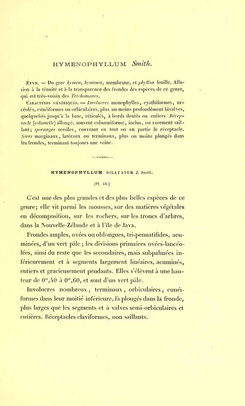 Éiym. — Du grec hymen, hymenos, membrane, et phyllon feuille. Allu- sion à la ténuité et à la transparence des frondes des espèces de ce genre, qui est très-voisin des Trichomancs. Caractères génériques. — Involueres monophylles , cyathiformes, ur- céolés, cunéiformes ou orbiculaires, plus ou moins profondément bivalves, quelquefois jusqu'à la base, réticulés, abords dentés ou entiers. Récep- tacle {columellè) allongé, souvent columniforme, inclus, ou rarement sail- lant; sporanges sessiles, couvrant en tout ou en partie le réceptacle. Sores marginaux, latéraux ou terminaux, plus ou moins plongés dans les frondes, terminant toujours une veine. HYMENOPHYLLUM DILATATUM J.Smith. (Pl. 42.) C'est une des plus grandes et des plus belles espèces de ce genre; elle vit parmi les mousses, sur des matières végétales en décomposition, sur les rochers, sur les troncs d'arbres, dans la Nouvelle-Zélande et à l'île de Java. Frondes amples, ovées ouoblongues, tri-pennatifides, acu- rninées, d'un vert pâle ; les divisions primaires ovées-lancéo- lées, ainsi du reste que les secondaires, mais subpalmées in- férieurement et à segments largement linéaires, acuminés, entiers et gracieusement pendants. Elles s'élèvent à une hau- teur de 0m,40 à 0,n,60, et sont d'un vert pâle. Involueres nombreux , terminaux , orbiculaires, cunéi- formes dans leur moitié inférieure, là plongés dans la fronde, plus larges que les segments et à valves semi-orbiculaires et entières. Réceptacles clavifornies, non saillants.
