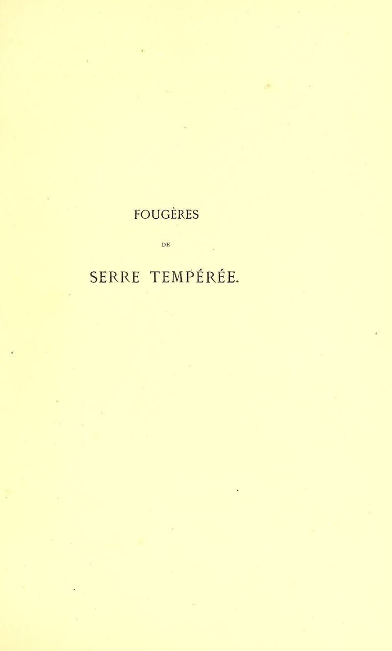 FOUGÈRES DE SERRE TEMPÉRÉE.