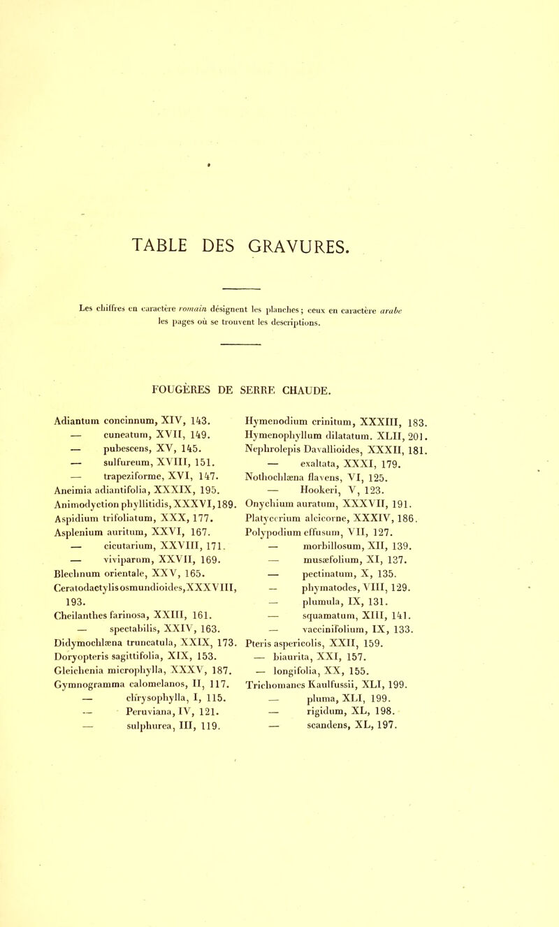 Les chiffres en caractère romain désignent les planches; ceux en caractère arabe les pages où se trouvent les descriptions. FOUGÈRES DE Adiantum concinnum, XIV, 143. — cuneatum, XVII, 149. — pubescens, XV, 145. — sulfureum, XVIII, 151. — trapeziforme, XVI, 147. Aneimia adiantifolia, XXXIX, 195. Animodyctiori phyllitidis, XXXVI, 189. Aspidium trifoliatum, XXX, 177. Asplenium auritum, XXVI, 167. — cicutarium, XXVIII, 171. — viviparnm, XXVII, 169. Bleclinum orientale, XXV, 165. Ceratodactylisosmundioides,XXX VIII, 193. Cheilanthes farinosa, XXIII, 161. — spectabilis, XXIV, 163. Didymocblœna truncatula, XXIX, 173. Doryopteris sagittifolia, XIX, 153. Gleicbenia microphylla, XXXV, 187. Gymnogramma calomelanos, II, 117. — ch'rysopbylla, I, 115. Peruviana, IV, 121. sulphurea, III, 119. SERRE CHAUDE. Hymenodium crinitum, XXXIII, 183. Hymenopbyllum dilatatum. XLII,201. Nepbrolepis Davallioides, XXXII, 181. — exaltata, XXXI, 179. Notbocblœna flavens, VI, 125. — Hookeri, V, 123. Onyehium auratuin, XXXVII, 191. Platycrrium alcicorne, XXXIV, 186. Polypodiumeffusum, VII, 127. — morbillosum, XII, 139. inussefolium, XI, 137. — pectinatum, X, 135. — phymatodes, VIII, 129. plumula, IX, 131. squamatum, XIII, 141. —■ vacciniFolium, IX, 133. Pteris aspericolis, XXII, 159. — biaurita, XXI, 157. — longifolia, XX, 155. Tricbomanes Itaulfussii, XLI, 199. — pluma, XLI, 199. — rigidum, XL, 198. — scandens, XL, 197.