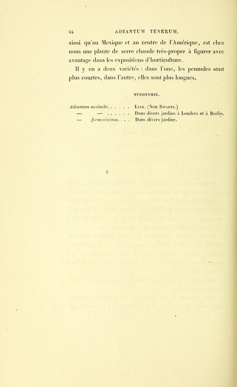 44 ADIANTUM TENERUM. ainsi qu'au Mexique et au centre de l'Amérique, est chez nous une plante de serre chaude très-propre à figurer avec avantage dans les expositions d'horticulture. 11 y en a deux variétés : dans l'une, les pennules sont plus courtes, dans l'autre, elles sont plus longues. SYNONYMIE. Link. (iNon Swahtz.) Dans divers jardins à Londres et à Berlin. Dans divers jardins. Adianlum assimile formosiss'ina. . . .