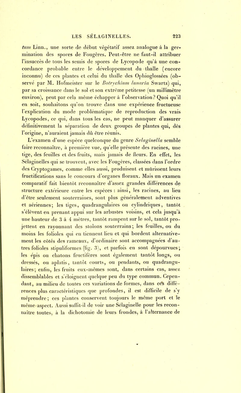 tn/n Linn., une sorte de début végétatif assez analogue à la ger- mination des spores de Fougères. Peut-être ne faut-il attribuer l'insuccès de tous les semis de spores de Lycopode qu'à une con- cordance probable entre le développement du tballe (encore inconnu) de ces plantes et celui du tballe des Ophioglossées (ob- servé par M. Hofmeister sur le Botrjchium lunaria Swartz) qui, par sa croissance dans le sol et son extrême petitesse (un millimètre environ), peut par cela même écbapper à l'observation? Quoi qu'il en soit, souhaitons qu'on trouve dans une expérience fructueuse l'explication du mode problématique de reproduction des vrais Lycopodes, ce qui, dans tous les cas, ne peut manquer d'assurer définitivement la séparation de deux groupes de plantes qui, dès l'origine, n'auraient jamais dû être réunis. L'examen d'une espèce quelconque du genre Seloginella semble faire reconnaître, à première vue, qu'elle présente des racines, une tige, des feuilles et des fruits, mais jamais de Heurs. En effet, les Sélaginelles qui se trouvent, avec les Fougères, classées dans l'ordre des Cryptogames, comme elles aussi, produisent et mûrissent leurs fructifications sans le concours d'organes floraux. Mais un examen comparatif fait bientôt reconnaître d'assez grandes différences de structure extérieure entre les espèces : ainsi, les racines, au lieu d'être seulement souterraines, sont plus généralement adventives et aériennes; les tiges, quadrangulaires ou cylindriques, tantôt s'élèvent en prenant appui sur les arbustes voisins, et cela jusqu'à une hauteur de 3 à 4 mètres, tantôt rampent sur le sol, tantôt pro- jettent en rayonnant des stolons souterrains; les feuilles, ou du moins les folioles qui en tiennent lieu et qui bordent alternative- ment les côtés des rameaux, d'ordinaire sont accompagnées d'au- tres folioles stipuliformes (fig. 3), et parfois en sont dépourvues; les épis ou chatons fructifères sont également tantôt longs, ou dressés, ou aplatis, tantôt courts, ou pendants, ou quadrangu- laires; enfin, les fruits eux-mêmes sont, dans certains cas, assez dissemblables et s'éloignent quelque peu du type commun. Cepen- dant, au milieu de toutes ces variations de formes, dans cëfc diffé- rences plus caractéristiques que profondes, il est difficile de s'y méprendre ; ces plantes conservent toujours le même port et le même aspect. Aussi suffit-il de voir une Sélaginelle pour les recon- naître toutes, à la dichotomie de leurs frondes, à l'alternance de