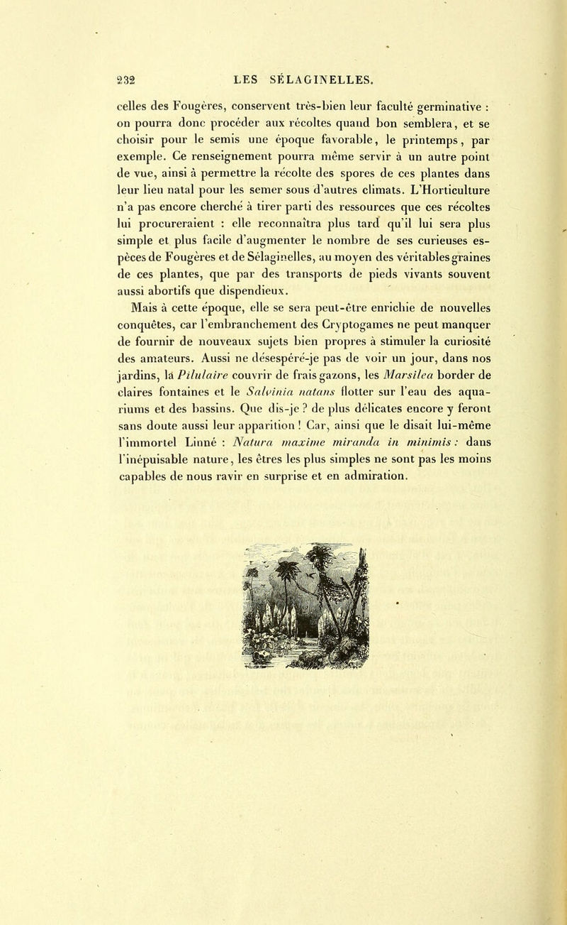 celles des Fougères, conservent très-bien leur faculté germinative : on pourra donc procéder aux récoltes quand bon semblera, et se choisir pour le semis une époque favorable, le printemps, par exemple. Ce renseignement pourra même servir à un autre point de vue, ainsi à permettre la récolte des spores de ces plantes dans leur lieu natal pour les semer sous d'autres climats. L'Horticulture n'a pas encore cherché à tirer parti des ressources que ces récoltes lui procureraient : elle reconnaîtra plus tard qu'il lui sera plus simple et plus facile d'augmenter le nombre de ses curieuses es- pèces de Fougères et de Sélaginelles, au moyen des véritables graines de ces plantes, que par des transports de pieds vivants souvent aussi abortifs que dispendieux. Mais à cette époque, elle se sera peut-être enrichie de nouvelles conquêtes, car l'embranchement des Cryptogames ne peut manquer de fournir de nouveaux sujets bien propres à stimuler la curiosité des amateurs. Aussi ne désespéré-je pas de voir un jour, dans nos jardins, là Pilulaire couvrir de frais gazons, les Marsilea border de claires fontaines et le Salvinia natans flotter sur l'eau des aqua- riums et des bassins. Que dis-je ? de plus délicates encore y feront sans doute aussi leur apparition ! Car, ainsi que le disait lui-même l'immortel Linné : Natura maxime mirunda in minimis : dans l'inépuisable nature, les êtres les plus simples ne sont pas les moins capables de nous ravir en surprise et en admiration.