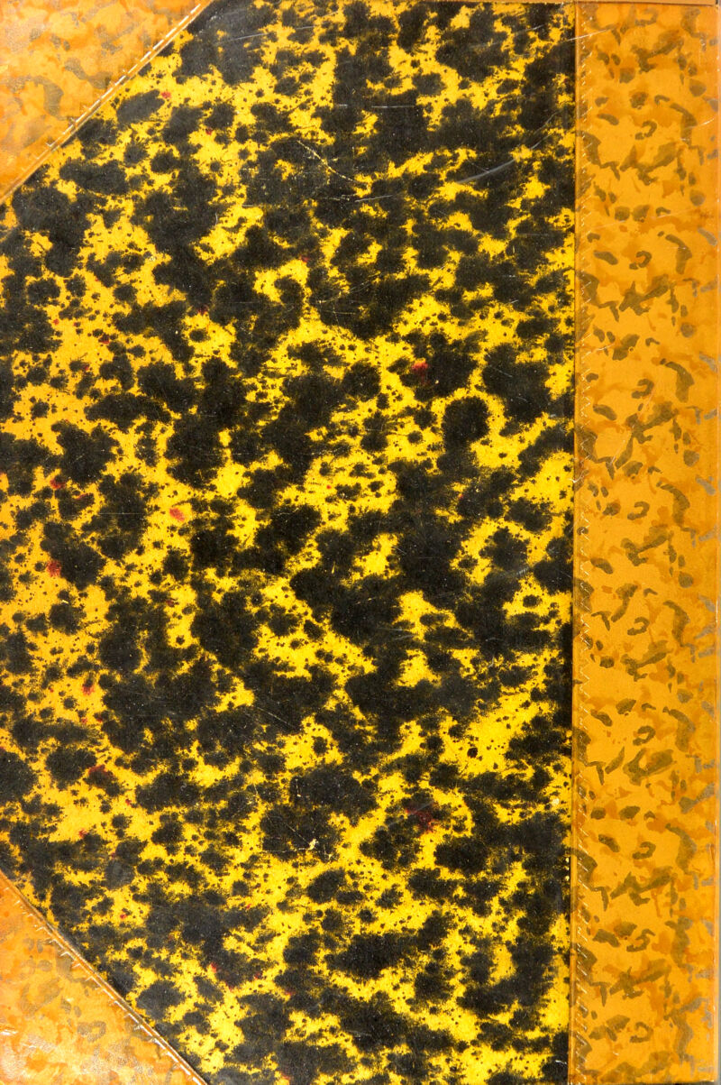 No text description is available for this image