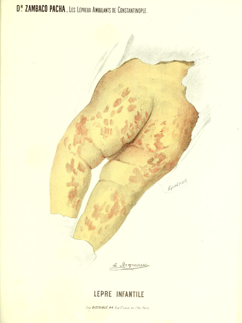 D ZAMBACO PACHA. Les Lépm Ambounis de Constantinople. fmp. DISTRIBUÉ,44, Rue S'Louis-en-l'lle, Paris