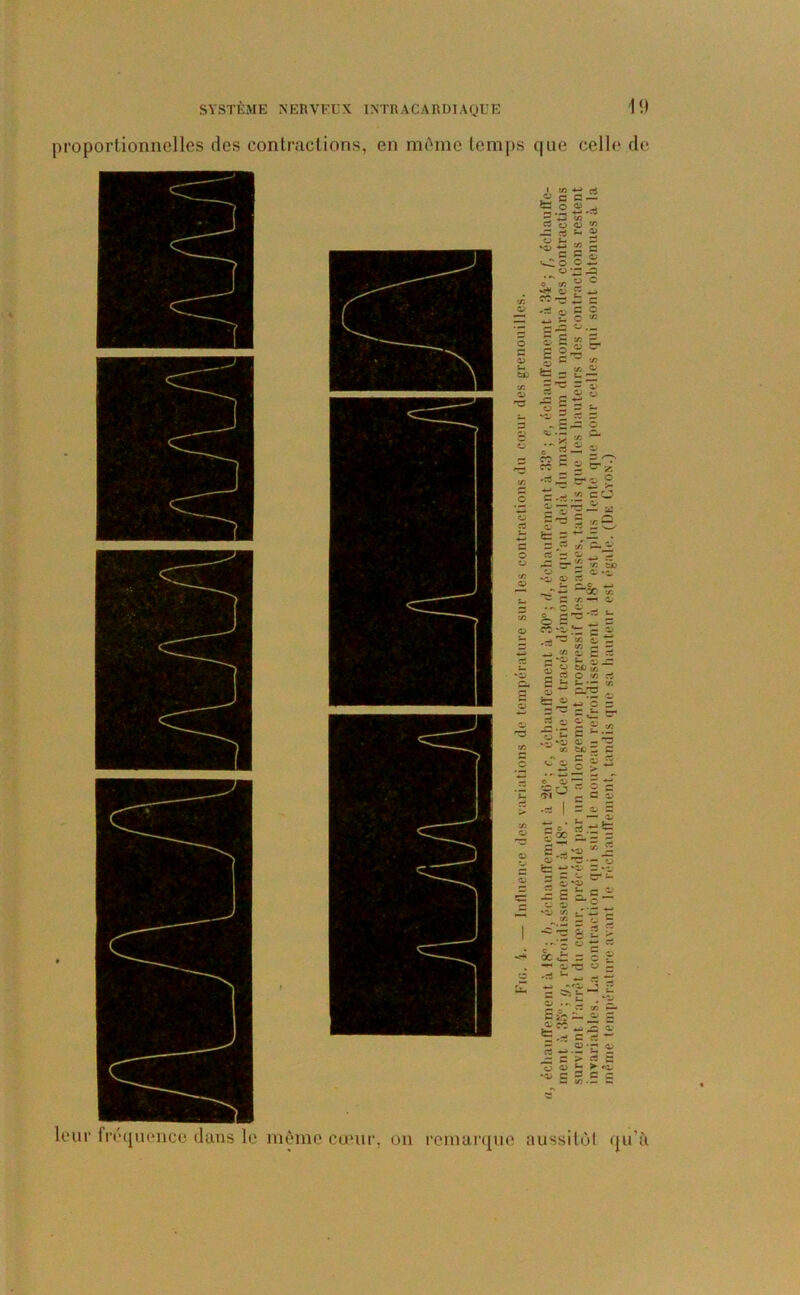 oportionnclles des contractions, en même temps que celle de ur fréquence dans le même ë § §■ x Ô5 w — « - « ■“SsB ^ O c . O •“ _ oc/> « ° Z C Z O O ryî r c a o i? ^ — . CJ tr* I i 3 8 es =: ,3 O O . *s - i O ' — » Jü 52 E E.^  - - S5 X ■rl ,£ O O g j « =C 'Z S’Ï'S- a o C3 = •= 5 «Q t- fc = • C s .«« ■/, c. - O o 2 - J *» «i —_ — ’n *-o ^ C O & s Û. *“X r. x — 1p O? . •^3 '■* ~ — H 8 X O ^ g Ë i t*x’“ O x ri Sr: ci = ^ ~ 3 S ~ — t- t— o r3 C 3 ri - 8 s §& 8 s S2* o a>~ > 3 S c c ^ Z zj Z ' . — OP £ cjÛ «3-*= 4ü ï * p.-= = I é^=.v S sï^5-1- <= -e s zgi; = 4JSu-3- 1 -^Ë2> • - c ° ~ rt fcisog . —1 O T5 « s 2 cœur, on remarque aussitôt qu’à
