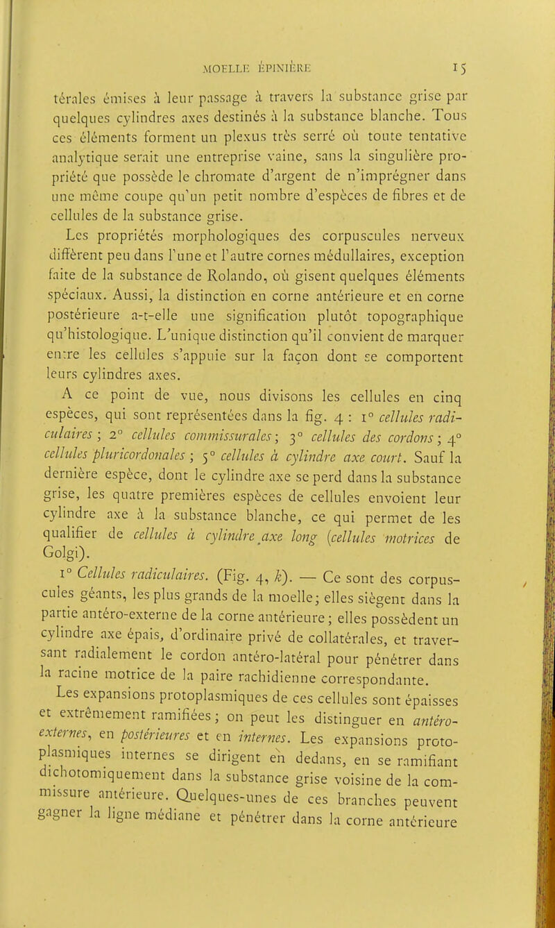 térales émises à leur passnge à travers la substance grise par quelques cylindres axes destinés à la substance blanche. Tous ces éléments forment un plexus très serré où toute tentative analytique serait une entreprise vaine, sans la singulière pro- priété que possède le chromate d'argent de n'imprégner dans une même coupe qu'un petit nombre d'espèces de fibres et de cellules de la substance grise. Les propriétés morphologiques des corpuscules nerveux diffèrent peu dans Tune et l'autre cornes médullaires, exception faite de la substance de Rolando, où gisent quelques éléments spéciaux. Aussi, la distinction en corne antérieure et en corne postérieure a-t-elle une signification plutôt topographique qu'histologique. L'unique distinction qu'il convient de marquer entre les cellules s'appuie sur la façon dont se comportent leurs cylindres axes. A ce point de vue, nous divisons les cellules en cinq espèces, qui sont représentées dans la fig. 4 : 1° celhdes radi- ai l air es ; 2° cellules coinmissurales ; 3° cellules des cordons; 4° cellules pluricordojiales ; 5° cellules à cylindre axe court. Sauf la dernière espèce, dont le cylindre axe se perd dans la substance grise, les quatre premières espèces de cellules envoient leur cylindre axe à la substance blanche, ce qui permet de les qualifier de cellules à cylindre axe long {cellules motrices de Golgi). 1° Cellules radiculaires. (Fig. 4, /c). — Ce sont des corpus- cules géants, les plus grands de la moelle; elles siègent dans la partie antéro-externe de la corne antérieure ; elles possèdent un cylindre axe épais, d'ordinaire privé de collatérales, et traver- sant radialement le cordon antéro-latéral pour pénétrer dans la racine motrice de la paire rachidienne correspondante. Les expansions protoplasmiques de ces cellules sont épaisses et extrêmement ramifiées; on peut les distinguer en antéro- externes, en postérieures et en internes. Les expansions proto- plasmiques internes se dirigent en dedans, en se ramifiant dichotomiquement dans la substance grise voisine de la com- missure antérieure. Quelques-unes de ces branches peuvent gngner la ligne médiane et pénétrer dans la corne antérieure