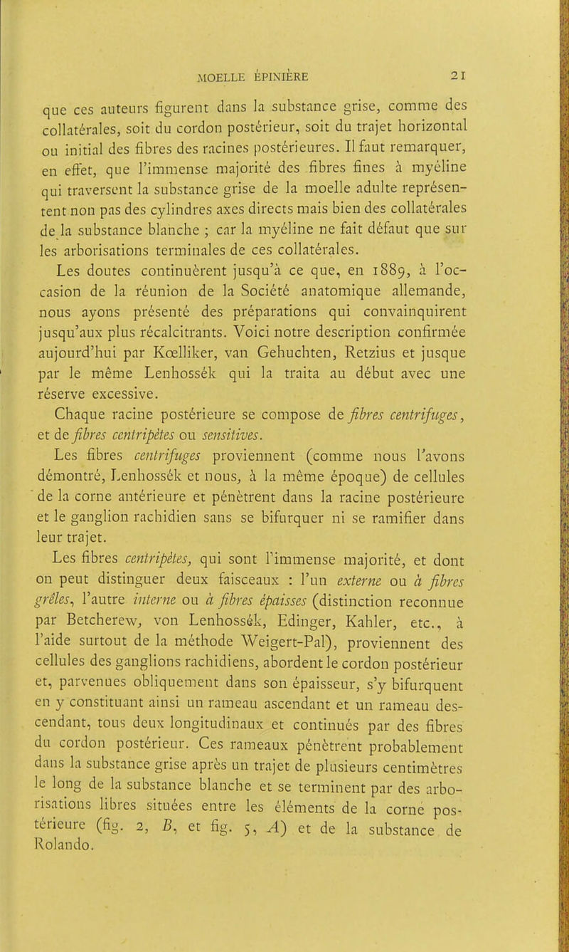 que ces auteurs figurent dans la substance grise, comme des collatérales, soit du cordon postérieur, soit du trajet horizontal ou initial des fibres des racines postérieures. Il faut remarquer, en effet, que l'immense majorité des fibres fines à myéline qui traversent la substance grise de la moelle adulte représen- tent non pas des cylindres axes directs mais bien des collatérales de la substance blanche ; car la myéline ne fait défaut que sur les arborisations terminales de ces collatérales. Les doutes continuèrent jusqu'à ce que, en 1889, à l'oc- casion de la réunion de la Société anatomique allemande, nous ayons présenté des préparations qui convainquirent jusqu'aux plus récalcitrants. Voici notre description confirmée aujourd'hui par Kœlliker, van Gehuchten, Retzius et jusque par le même Lenhossék qui la traita au début avec une réserve excessive. Chaque racine postérieure se compose fibres centrifuges, et de fibres centripètes ou sensitives. Les fibres centrifuges proviennent (comme nous l'avons démontré, Lenhossék et nous^ à la même époque) de cellules de la corne antérieure et pénètrent dans la racine postérieure et le ganglion rachidien sans se bifurquer ni se ramifier dans leur trajet. Les fibres centripètes, qui sont Timmense majorité, et dont on peut distinguer deux faisceaux : l'un externe ou à fibres grêles^ l'autre interne ou à fibres épaisses (distinction reconnue par Betcherew, von Lenhossék, Edinger, Kahler, etc., à l'aide surtout de la méthode Weigert-Pal), proviennent des cellules des ganglions rachidiens, abordent le cordon postérieur et, parvenues obliquement dans son épaisseur, s'y bifurquent en y constituant ainsi un rameau ascendant et un rameau des- cendant, tous deux longitudinaux et continués par des fibres du cordon postérieur. Ces rameaux pénètrent probablement dans la substance grise après un trajet de plusieurs centimètres le long de la substance blanche et se terminent par des arbo- risations libres situées entre les éléments de la corne pos- térieure (fig. 2, B, et fig. 5, ^) et de la substance de Rolando.