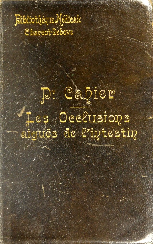 digitised image 1