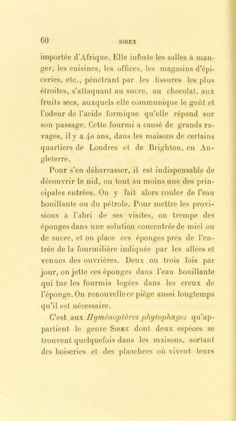 importée d’Afrique. Elle infeste les salles à man- ger, les cuisines, les offices, les magasins d’épi- ceries, etc., pénétrant par les fissures les plus étroites, s’attaquant au sucre, au chocolat, aux fruits secs, auxquels elle communique le goût et l’odeur de l’acide formique qu’elle répand sur son passage. Cette fourmi a causé de grands ra- vages, il y a 4» ans, dans les maisons de certains quartiers de Londres et de Brighton, en An- gleterre. Pour s’en débarrasser, il est indispensable de découvrir le nid, ou tout au moins une des prin- cipales entrées. On y fait alors couler de l’eau bouillante ou du pétrole. Pour mettre les provi- sions à l’abri de ses visites, on trempe des éponges dans une solution concentrée de miel ou de sucre, et on place ces éponges près de l’en- trée de la fourmilière indiquée par les allées et venues des ouvrières. Deux ou trois fois par jour, on jette ces éponges dans l’eau bouillante qui tue les fourmis logées dans les creux de l’éponge. On renouvelle ce piège aussi longtemps qu’il est nécessaire. C’est aux Hyménoptères phytophages qu’ap- partient le genre Sirex dont deux espèces se trouvent quelquefois dans les maisons, sortant des boiseries et des planchers où vivent leurs