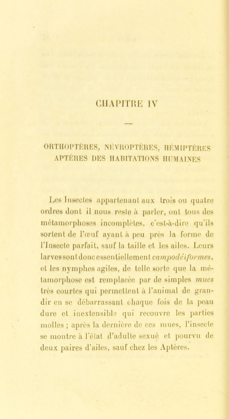 CUAIMTIUS IV ORTHOPTÈRES, NÉVROPTÈRES, HÉMIPTÈRES APTÈRES DES HAHLTATIONS HUMAINES Les Insectes appartenant aux trois ou quatre ordres dont il nous reste à parler, ont tous des métamorphoses incomplètes, c'est-à-dire qu'ils sortent de l’œuf ayant à peu près la forme de l'Insecte parfait, sauf la taille et les ailes. Leurs larves sont donc essentiellement campodci formes, et les nymphes agiles, de telle sorte que la mé- tamorphose est remplacée par de simples mues très courtes qui permettent à l’animal de gran- dir en se débarrassant chaque fois de la peau dure et inextensible qui recouvre les parties molles ; après la dernière de ces mues, l’insecte se montre à l'état d’adulte sexué et pourvu de deux paires d’ailes, sauf chez les Aptères.