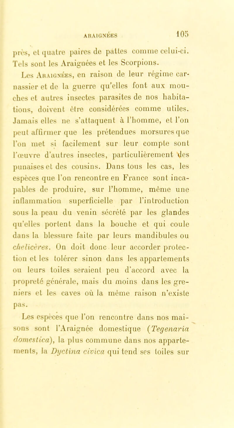 ARAIGNEES pies, el quatre paires de pattes comme celui-ci. Tels sont les Araignées et les Scorpions. Les Araignées, en raison de leur régime car- nassier et de la guerre qu’elles font aux mou- ches et autres insectes parasites de nos habita- tions, doivent être considérées comme utiles. Jamais elles ne s’attaquent à l’homme, et l’on peut affirmer que les prétendues morsures que l'on met si facilement sur leur compte sont l'œuvre d'autres insectes, particulièrement des punaises et des cousins. Dans tous les cas, les espèces que l'on rencontre en France sont inca- pables de produire, sur l’homme, même une inflammation superficielle par l’introduction sous la peau du venin sécrété par les glandes qu'elles portent dans la bouche et qui coule dans la blessure faite par leurs mandibules ou c/ielicères. On doit donc leur accorder protec- tion et les tolérer sinon dans les appariements ou leurs toiles seraient peu d’accord avec la propreté générale, mais du moins dans les gre- niers et les caves où la même raison n’existe pas. Les espèces que l'on rencontre dans nos mai- sons sont l’Araignée domestique (Tegenaria domestica), la plus commune dans nos apparte- ments, la Dyctina civicu qui tend ses toiles sur