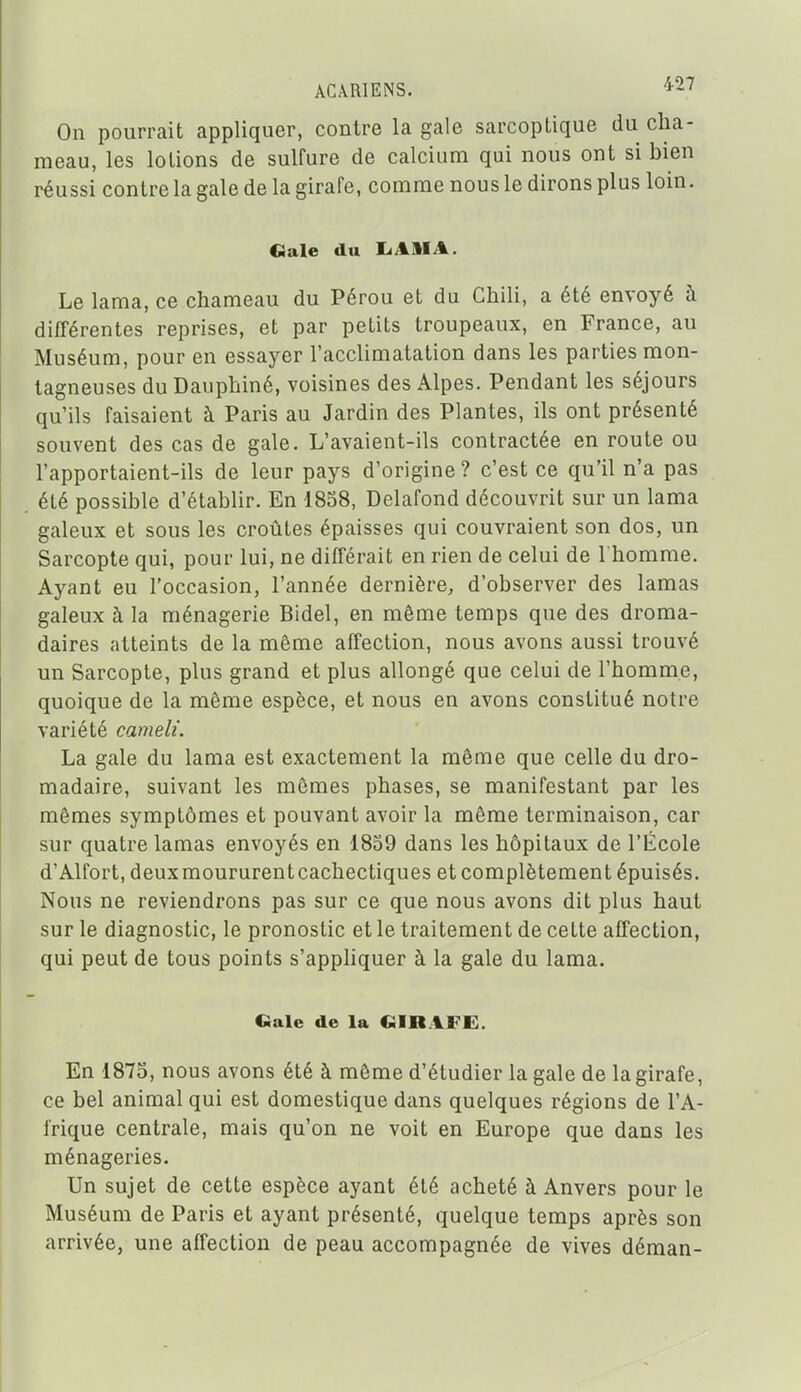 On pourrait appliquer, contre la gale sarcoptique du cha- meau, les lotions de sulfure de calcium qui nous ont si bien réussi contre la gale de la girafe, comme nous le dirons plus loin. Gale du liAlIA. Le lama, ce chameau du Pérou et du Chili, a été envoyé h différentes reprises, et par petits troupeaux, en France, au Muséum, pour en essayer l'acclimatation dans les parties mon- tagneuses du Dauphiné, voisines des Alpes. Pendant les séjours qu'ils faisaient à Paris au Jardin des Plantes, ils ont présenté souvent des cas de gale. L'avaient-ils contractée en route ou l'apportaient-ils de leur pays d'origine? c'est ce qu'il n'a pas été possible d'établir. En 1858, Delafond découvrit sur un lama galeux et sous les croûtes épaisses qui couvraient son dos, un Sarcopte qui, pour lui, ne différait en rien de celui de l'homme. Ayant eu l'occasion, l'année dernière, d'observer des lamas galeux à la ménagerie Bidel, en même temps que des droma- daires atteints de la même affection, nous avons aussi trouvé un Sarcopte, plus grand et plus allongé que celui de l'homme, quoique de la même espèce, et nous en avons constitué notre variété cameli. La gale du lama est exactement la même que celle du dro- madaire, suivant les mêmes phases, se manifestant par les mêmes symptômes et pouvant avoir la même terminaison, car sur quatre lamas envoyés en 1859 dans les hôpitaux de l'École d'Alfort, deuxraoururentcachectiques et complètement épuisés. Nous ne reviendrons pas sur ce que nous avons dit plus haut sur le diagnostic, le pronostic et le traitement de cette affection, qui peut de tous points s'appliquer à la gale du lama. «aie de la GIRAFE. En 1873, nous avons été à même d'étudier la gale de la girafe, ce bel animal qui est domestique dans quelques régions de l'A- frique centrale, mais qu'on ne voit en Europe que dans les ménageries. Un sujet de cette espèce ayant été acheté à Anvers pour le Muséum de Paris et ayant présenté, quelque temps après son arrivée, une affection de peau accompagnée de vives déraan-