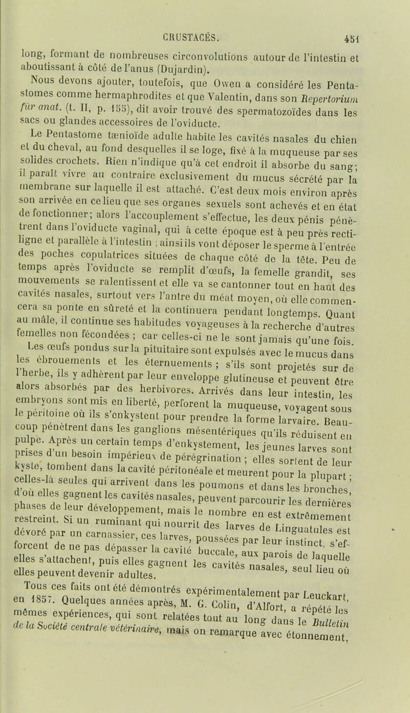 long, formant de nombreuses circonvolutions autour de l'intestin et aboutissant à côté de l'anus (Dujardin). Nous devons ajouter, toutefois, que Owen a considéré les Penta- stomes comme hermaphrodites et que Valentin, dans son Repertoriwn furanat. (t. II, p. 155), dit avoir trouvé des spermatozoïdes dans les sacs ou glandes accessoires de l'oviducte. Le Pentastome taînioïde adulte habite les cavités nasales du chien et du cheval, au fond desquelles il se loge, fixé à la muqueuse par ses solides crochets. Rien n'indique qu'à cet endroit il absorbe du sang- il paraît vivre au contraire exclusivement du mucus sécrété par la .nembrane sur laquelle il est attaché. C'est deux mois environ après son arrivée en ce lieu que ses organes sexuels sont achevés et en état de fonctionner; alors l'accouplement s'effectue, les deux pénis pénè- trent dans l'oviducte vaginal, qui à cette époque est à peu près recti- hgne et parallèle ù l'intestin , ainsi ils vont déposer le sperme à lenlrée des poches copulalrices situées de chaque côté de la tôte Peu de temps après l'oviducte se remplit d'œufs, la femelle grandit ses mouvements se ralentissent et elle va se cantonner tout en haut des cavités nasales, surtout vers l'antre du méat moyen, où ellccommen- cera sa ponte en sûreté et la continuera pendant longtemps. Quant au maie, il continue ses habitudes voyageuses à la recherche d'autres femelles non fécondées ; car celles-ci ne le sont jamais qu'une fois Les œufs pondus sur la pituitaire sont expulsés avec le mucus dans les ebrouements et les éternuements ; s'ils sont projetés sur de 1 herbe Us y adhèrent par leur enveloppe glutineuse et peuvent être alors absorbes par des herbivores. Arrivés dans leur intestin ïes embryons sont mis en liberté, perforent la muqueuse, vovagent;ous le per-tome ou ils s'enkystent pour prendre la forme larv'aire Beau- coup pénètrent dans les ganglions mésentériques qu'ils rédui'sent en pulpe. Apres un certain temps d'enkystement, les jeunes lar e sm prises d'un beso n impérieuv de pérégrination ; elL sor( ntTe eû ky. e, tombent dans la cavité péritonéale et meurent pour la pWt • celles-a seules qui arrivent dans les poumons et dans les bro.X ' d ou elles gagnent les cavités nasales, peuvent parcourir les dern ères phases de leur développement, mais le nombre en est ex.rAl ! restreint. Si un ruminant qui nourrit desWs 1 F in , , dévoré par un carnassier ces larvP, L, , Linguatules est . j ' '^^^^^> poussées par leur instinrf c'op forcent de ne pas dépasser la nvîiô i..,. i msimct, s el- eue. s:a.c.z. Puis^u:sV;:eru:ro:tésTasrs^^:/ro' elles peuvent devenir adultes. isaies, seul heu ou Tous ces faits ont été démontrés expérimentalement par Leuckart en 185,. Quelques années après, M. G. Colin, d'Alfort a iS W mômes expériences, qui sont relatées tout au Ion  dans le C de la S.ciété centra, vétérinaire, mais on reniarque °avl étonn^ÏÏ;