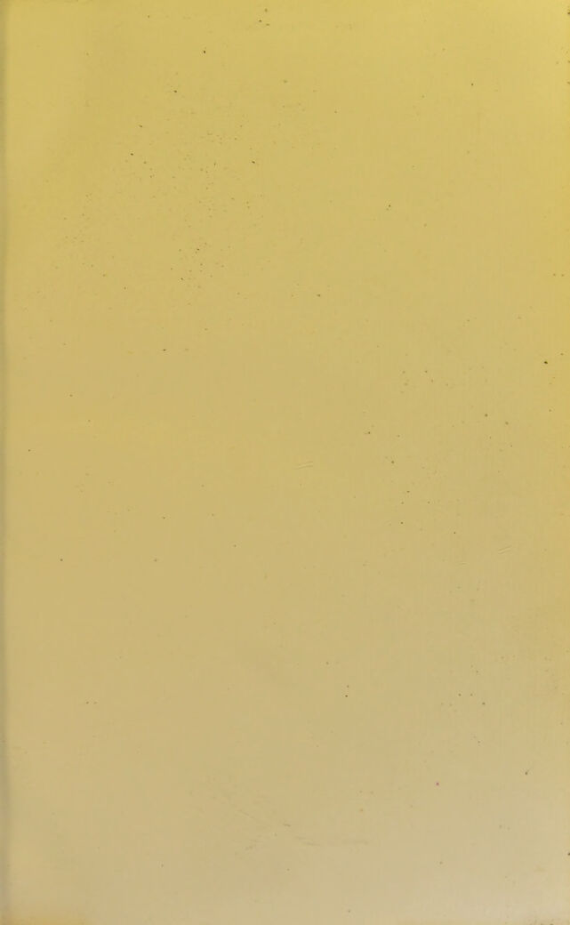 digitised image 3