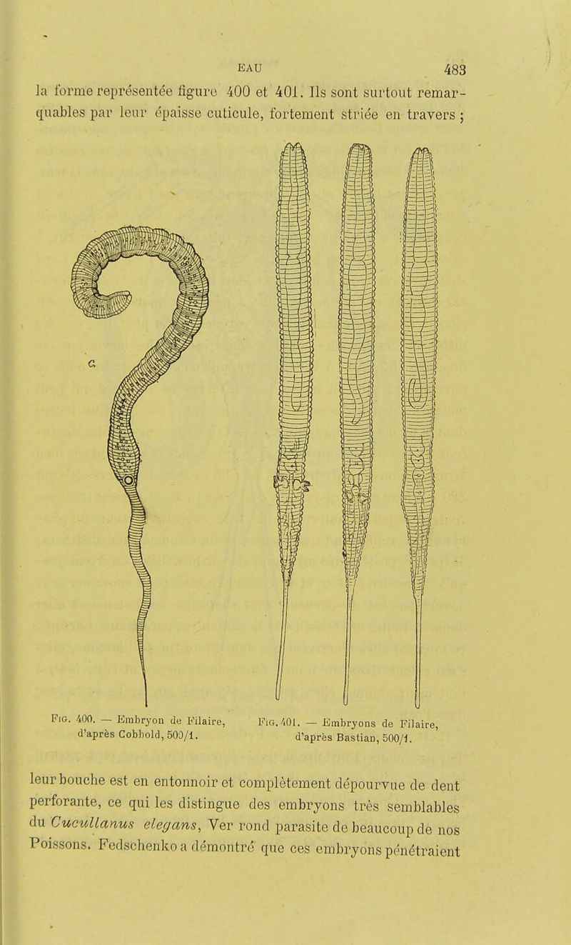 la forme représentée figure 400 et 401. Ils sont surtout remar- quables par leur épaisse cuticule, fortement striée en travers ; FiG. 400. - Embryon de Eilaire, FiG./.Ol. — Bmbryons de Pilaire, d'après Cobhold, 500/1. d'après Bastian, 500/1. leur bouche est en entonnoir et complètement dépourvue de dent perforante, ce qui les distingue des embryons très semblables du CucuUanus elegans. Ver rond parasite de beaucoup de nos Poissons. Fedschenko a démontré que ces embryons pénétraient