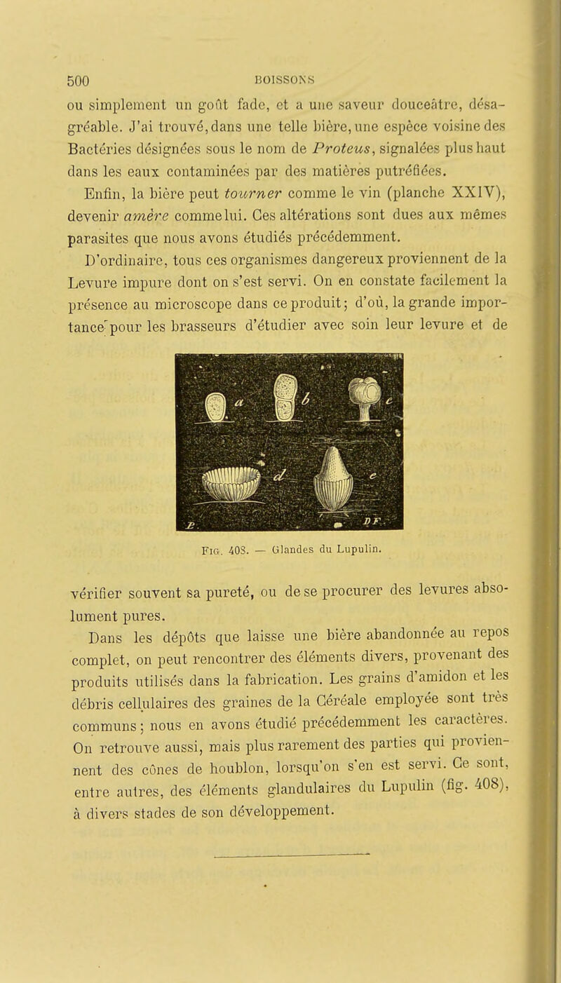 ou simplement un goût fade, et a une saveur douceâtre, désa- gréable. J'ai trouvé, dans une telle bière, une espèce voisine des Bactéries désignées sous le nom de Proteus, signalées plus haut dans les eaux contaminées par des matières putréfiées. Enfin, la bière peut tourner comme le vin (planche XXIV), devenir arrière comme lui. Ces altérations sont dues aux mêmes parasites que nous avons étudiés précédemment. D'ordinaire, tous ces organismes dangereux proviennent de la Levure impure dont on s'est servi. On en constate facilement la présence au microscope dans coproduit; d'où, la grande impor- tance-pour les brasseurs d'étudier avec soin leur levure et de FiG, 40S. — Glandes du Lupulin. vérifier souvent sa pureté, ou de se procurer des levures abso- lument pures. Dans les dépôts que laisse une bière abandonnée au repos complet, on peut rencontrer des éléments divers, provenant des produits utilisés dans la fabrication. Les grains d'amidon et les débris cellulaires des graines de la Céréale employée sont très communs; nous en avons étudié précédemment les caractères. On retrouve aussi, mais plus rarement des parties qui provien- nent des cônes de houblon, lorsqu'on s'en est servi. Ce sont, entre autres, des éléments glandulaires du Lupulin (fig. 408), à divers stades de son développement.