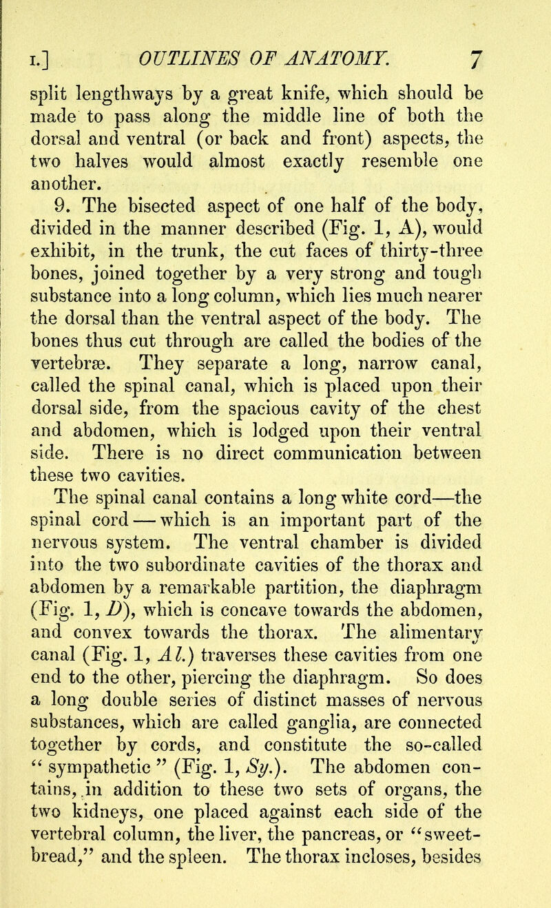 split lengthways by a great knife, which should he made to pass along the middle line of both the dorsal and ventral (or back and front) aspects, the two halves would almost exactly resemble one another. 9. The bisected aspect of one half of the body, divided in the manner described (Fig. 1, A), would exhibit, in the trunk, the cut faces of thirty-three bones, joined together by a very strong and tough substance into a long column, which lies much nearer the dorsal than the ventral aspect of the body. The bones thus cut through are called the bodies of the vertebrae. They separate a long, narrow canal, called the spinal canal, which is placed upon their dorsal side, from the spacious cavity of the chest and abdomen, which is lodged upon their ventral side. There is no direct communication between these two cavities. The spinal canal contains a long white cord—the spinal cord — which is an important part of the nervous system. The ventral chamber is divided into the two subordinate cavities of the thorax and abdomen by a remarkable partition, the diaphragm (Fig. 1, which is concave towards the abdomen, and convex towards the thorax. The alimentarv canal (Fig. 1, Al.) traverses these cavities from one end to the other, piercing the diaphragm. So does a long double series of distinct masses of nervous substances, which are called ganglia, are connected together by cords, and constitute the so-called sympathetic  (Fig. 1, Sy?), The abdomen con- tains, in addition to these two sets of organs, the two kidneys, one placed against each side of the vertebral column, the liver, the pancreas, or ^^sweet- bread, and the spleen. The thorax incloses, besides