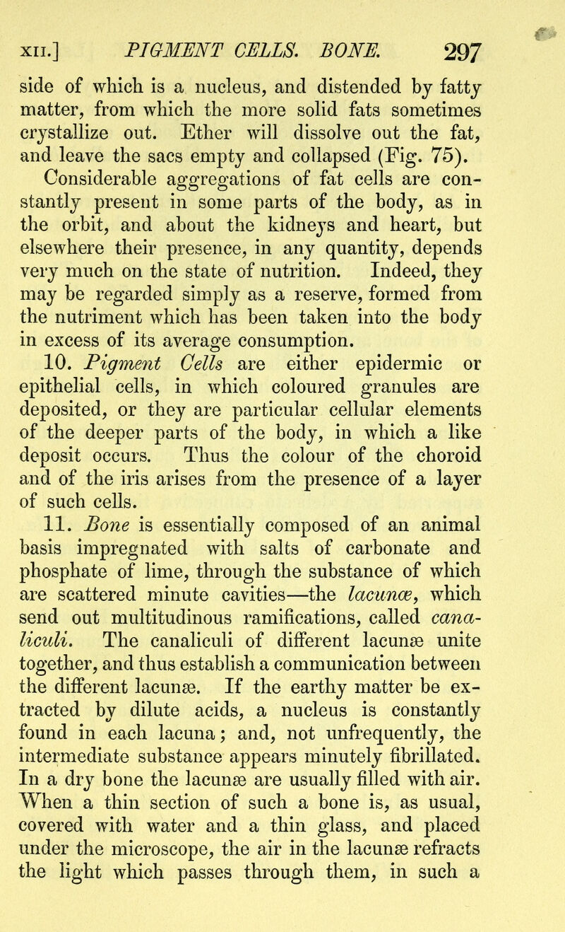 side of which is a nucleus, and distended by fatty matter, from which the more solid fats sometimes crystallize out. Ether will dissolve out the fat, and leave the sacs empty and collapsed (Fig. 75). Considerable aggregations of fat cells are con- stantly present in some parts of the body, as in the orbit, and about the kidneys and heart, but elsewhere their presence, in any quantity, depends very much on the state of nutrition. Indeed, they may be regarded simply as a reserve, formed from the nutriment which has been taken into the body in excess of its average consumption. 10. Figment Cells are either epidermic or epithelial cells, in which coloured granules are deposited, or they are particular celhdar elements of the deeper parts of the body, in which a like deposit occurs. Thus the colour of the choroid and of the iris arises from the presence of a layer of such cells. 11. Bone is essentially composed of an animal basis impregnated with salts of carbonate and phosphate of lime, through the substance of which are scattered minute cavities—the lacunce, which send out multitudinous ramifications, called cana- liculi. The canaliculi of different lacunse unite together, and thus establish a communication between the different lacunae. If the earthy matter be ex- tracted by dilute acids, a nucleus is constantly found in each lacuna; and, not unfrequently, the intermediate substance appears minutely fibrillated. In a dry bone the lacunae are usually filled with air. When a thin section of such a bone is, as usual, covered with water and a thin glass, and placed under the microscope, the air in the lacunae refracts the light which passes through them, in such a