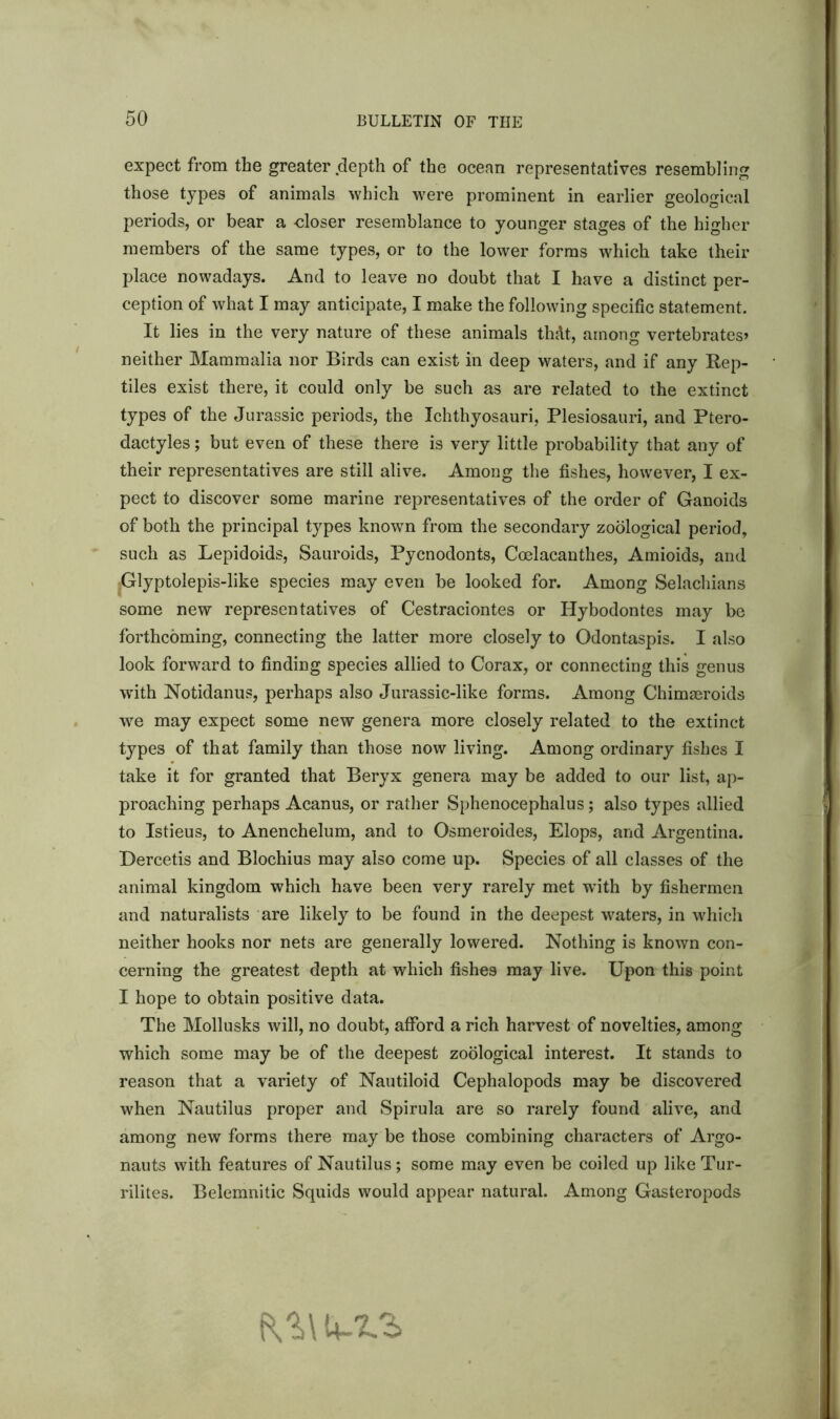 expect from the greater depth of the ocean representatives resembling those types of animals which were prominent in earlier geological periods, or bear a -closer resemblance to younger stages of the higher members of the same types, or to the lower forms which take their place nowadays. And to leave no doubt that I have a distinct per- ception of what I may anticipate, I make the following specific statement. It lies in the very nature of these animals thdt, among vertebrates* neither Mammalia nor Birds can exist in deep waters, and if any Rep- tiles exist there, it could only be such as are related to the extinct types of the Jurassic periods, the Ichthyosauri, Plesiosauri, and Ptero- dactyles; but even of these there is very little probability that any of their representatives are still alive. Among the fishes, however, I ex- pect to discover some marine representatives of the order of Ganoids of both the principal types known from the secondary zoological period, such as Lepidoids, Sauroids, Pycnodonts, Ccelacanthes, Amioids, and *Glyptolepis-like species may even be looked for. Among Selachians some new representatives of Cestraciontes or Hybodontes may be forthcoming, connecting the latter more closely to Odontaspis. I also look forward to finding species allied to Corax, or connecting this genus with Notidanus, perhaps also Jurassic-like forms. Among Chimseroids we may expect some new genera more closely related to the extinct types of that family than those now living. Among ordinary fishes I take it for granted that Beryx genera may be added to our list, ap- proaching perhaps Acanus, or rather Sphenocephalus; also types allied to Istieus, to Anenchelum, and to Osmeroides, Elops, and Argentina. Dercetis and Blochius may also come up. Species of all classes of the animal kingdom which have been very rarely met with by fishermen and naturalists are likely to be found in the deepest waters, in which neither hooks nor nets are generally lowered. Nothing is known con- cerning the greatest depth at which fishes may live. Upon this point I hope to obtain positive data. The Mollusks will, no doubt, afford a rich harvest of novelties, among which some may be of the deepest zoological interest. It stands to reason that a variety of Nautiloid Cephalopods may be discovered when Nautilus proper and Spirula are so rarely found alive, and among new forms there may be those combining characters of Argo- nauts with features of Nautilus; some may even be coiled up like Tur- rilites. Belemnitic Squids would appear natural. Among Gasteropods