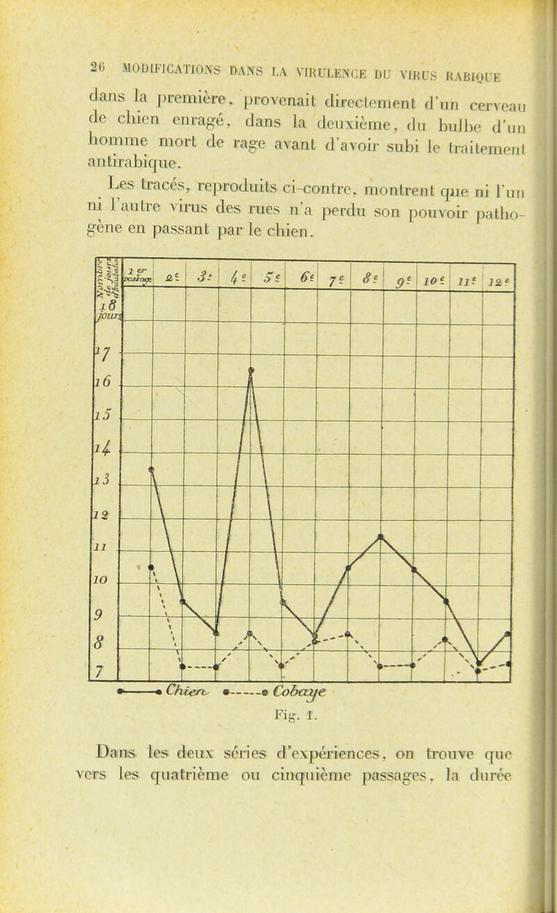 dans la première, provenait directement d'un cerveau de chien enragé, dans la deuxième, du bulbe d'un homme mort de rage avant d'avoir subi te traitement antirabique. Les tracés, reproduits ci-contre, montrent que ni l'un ni l'autre virus des rues n'a perdu son pouvoir patbo gène en passant par le chien. 18 pu 7 16 i5 i3 12 11 10 9 8 7 1V ni 7f Si .9 e lOi 111 J2« 3 > 1 » \ 1 1 \ 1 1 1 1 S 1 1 J s— \ k / V \ x \ \ * ► H ✓ • r \ \ * * f >■' ■' \ \ .. 1 > Chierv Cobaye V iS. î. Dans les deux séries d'expériences, on trouve que vers les quatrième ou cinquième passages, la durée