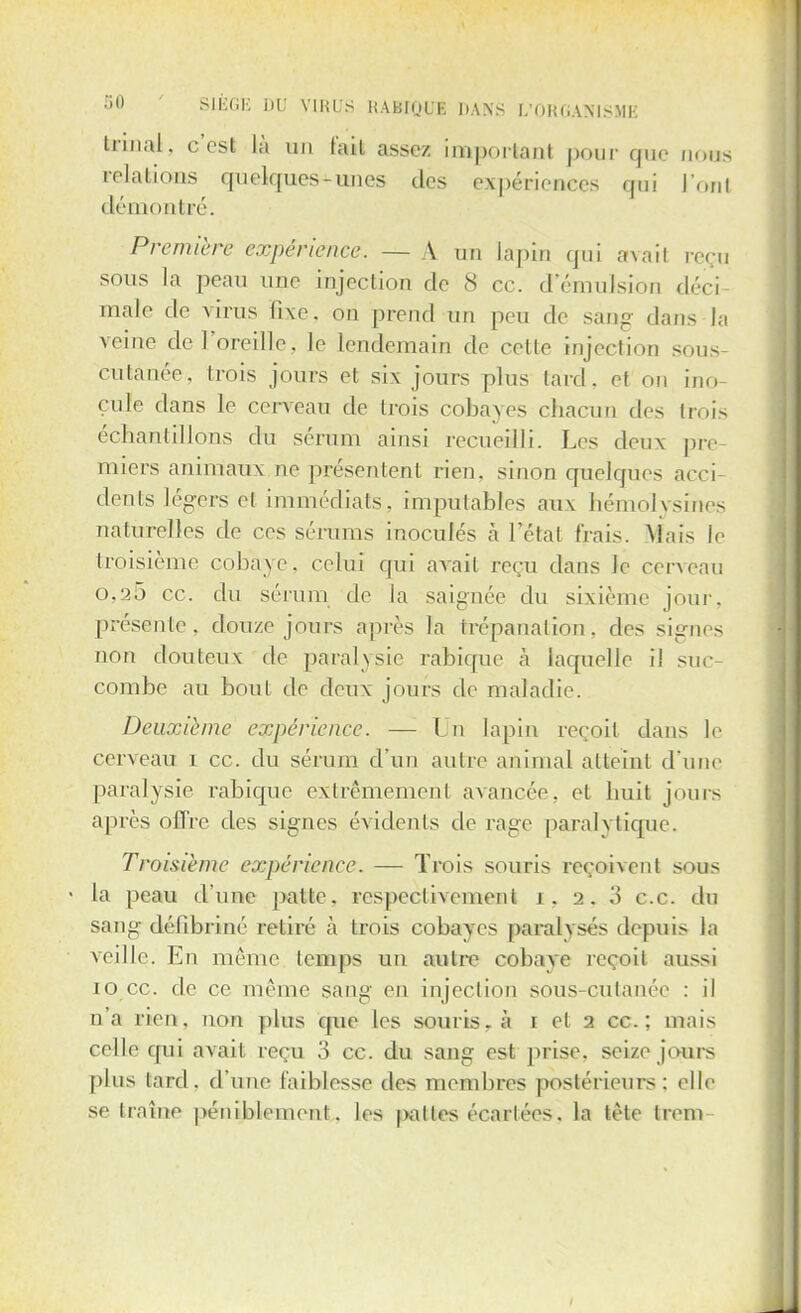 fermât, c est là un fait assez important pour que nous relations quelques-unes des expériences qui l'ont démontré. Première expérience. — A un lapin qui avait reçu sous la peau une injection de 8 ce. demulsibn déci maie de virus fixe, on prend un peu de sang dans-Ja veine de l'oreille, le lendemain de cette injection sous cutanée, trois jours et six jours plus tard, et on ino- cule dans ïe cerveau de trois cobayes chacun des trois échantillons du sérum ainsi recueilli. Les deux pre- miers animaux ne présentent rien, sinon quelques acci- dents légers et immédiats, imputables aux hémolysines naturelles de ces sérums inoculés à l'étal (Vais. Mais le troisième cobaye, celui qui avait reçu dans le cerveau o.25 ce. du sérum de la saignée du sixième jour, présente, douze jours après la trépanation, des signes non douteux de paralysie rahique à laquelle il suc- combe au bout de deux jouis de maladie. Deuxième expérience. — Un lapin reçoit dans le cerveau i ce. du sérum d'un autre animal atteint d'une paralysie rahique extrêmement avancée, et huit jours après offre des signes évidents de rage paralytique. Troisième expérience. — Trois souris reçoivent sous la peau d'une patte, respectivement ir 2, ce. du sang défibriné retiré à trois cobayes paralysés depuis la veille. En même temps un autre cobaye reçoit aussi IO CC. de ce même sang en injection sous cutanée : il n'a rien, non plus que les souris, à 1 et 2 ce; mais celle qui avait reçu 3 ce. du sang est prise, seize juins plus lard, d'une faiblesse des membres postérieurs; elle se traîne péniblement, les pat tes écartées. la tète treni