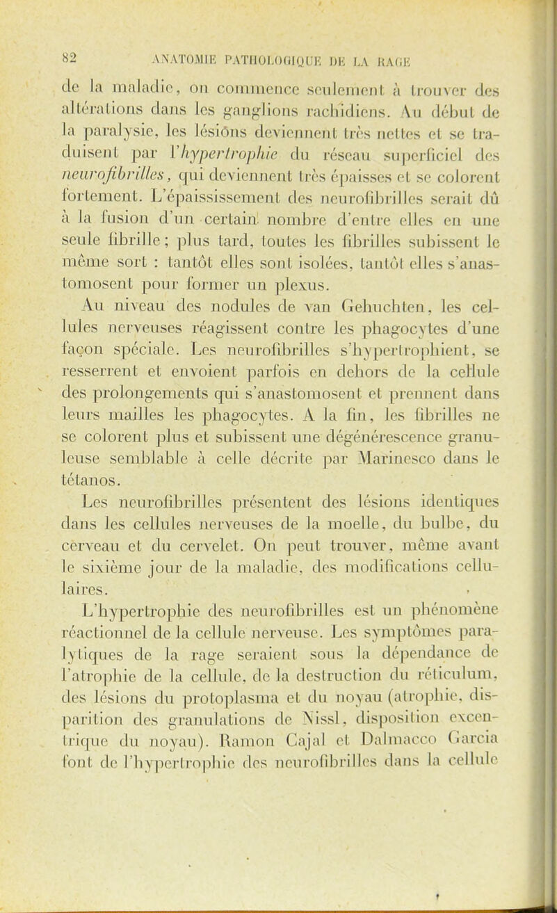 de la maladie, on commence seulement à trouver des altérations dans les ganglions rachldiens. An débul de là paralysie, les lésions deviennent très nettes et se tra- duisent par l'hypertrophie du réseau superficiel des neurofibrilles, qui deviennent très épaisses et se colorenl fortement. L'épaississement des neurofibrilles serail dû à la fusion d'un certain, nombre d'entre elles en une seule fibrille; plus tard, toutes les fibrilles subissent le même sort : tantôt elles sont isolées, tantôt elles s'anas- tomosent pour former un plexus. \u niveau des nodules de van Gehuchten, les cel- lules nerveuses réagissent contre les phagocytes d'une façon spéciale. Les neurofibrilles s'hypertrophient, se resserrent et envoient parfois en dehors de la cellule des prolongements qui s'anastomosent et prennent dans leurs mailles les phagocytes. A la fin, les fibrilles ne se colorent plus et subissent une dégénérescence granu- leuse semblable à celle décrite par Marinesco dans le tétanos. Les neurofibrilles présentent des lésions identiques dans les cellules nerveuses de la moelle, du bulbe, du cerveau et du cervelet. On peut trouver, même avant le sixième jour de la maladie, des modifications cellu- laires. L'hypertrophie des neurofibrilles est un phénomène réactionnel de la cellule nerveuse. Les symptômes para l\tiques de la rage seraient sous la dépendance de l'atrophie de la cellule, de la destruction du réticulum, des lésions du protoplasma et du novau (atrophie, dis- parition des granulations de Nissl, disposition excen- trique du novau). Ramon Cajal et Dalmacco Garcia font de l'hypertrophie des neurofibrilles dan- La cellule