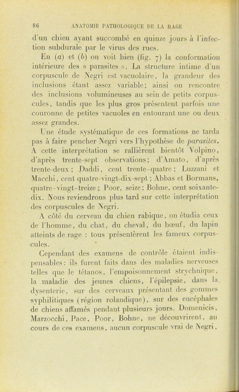 d'un chien ayant succombé en quinze jours à l'infec- tion subdurale par le virus des rues. En (a) et (6) on voit bien (fig. 7) la conformation intérieure des « parasites ». La structure intime d'un corpuscule de Negri est vacuolairc, la grandeur des inclusions étant assez variable; ainsi on rencontre des inclusions volumineuses au sein de petits corpus- cules, tandis que les plus gros présentent parfois une couronne de petites vacuoles en enlouranl une ou deux assez grandes. Une élude systématique de ces formations ne tarda pas à l'aire pencher Negri vers l'hypothèse de parasites. A cette interprétation se rallièrent bientôt \olpino, d'après trente-sept observations; d'Amato, d'après trente-deux; Daddi, cent trente - quatre ; Luzzani el Macchi, cent quatre-vingt-dix-sept ; Abbas et Bormans. quatre-vingt-treize; Poor, seize; Bohne, cent soixante- dix. Nous reviendrons plus lard sur cette interprétation des corpuscules de Negri. A côté du cerveau du chien rabique, on étudia ceux de l'homme, du chat, du cheval, du bœuf, du lapin atteints de rage : tous présentèrent les fameux corpus- cules. Cependant des examens de contrôle étaient indis- pensables: ils furent faits dans des maladies nerveuses telles que le tétanos, l'empoisonnement strychnique, la maladie des jeunes chiens, l'épilepsie. dans la dysenterie, sur des cerveaux présentant des gommes syphilitiques (région rolandique), sur des encéphales de chiens affamés pendant plusieurs jours. Doinenicis. Marzocchi, Pace, Poor, Bohne, ne découvrirent, au cours de ces examens, aucun corpuscule vrai de Negri.