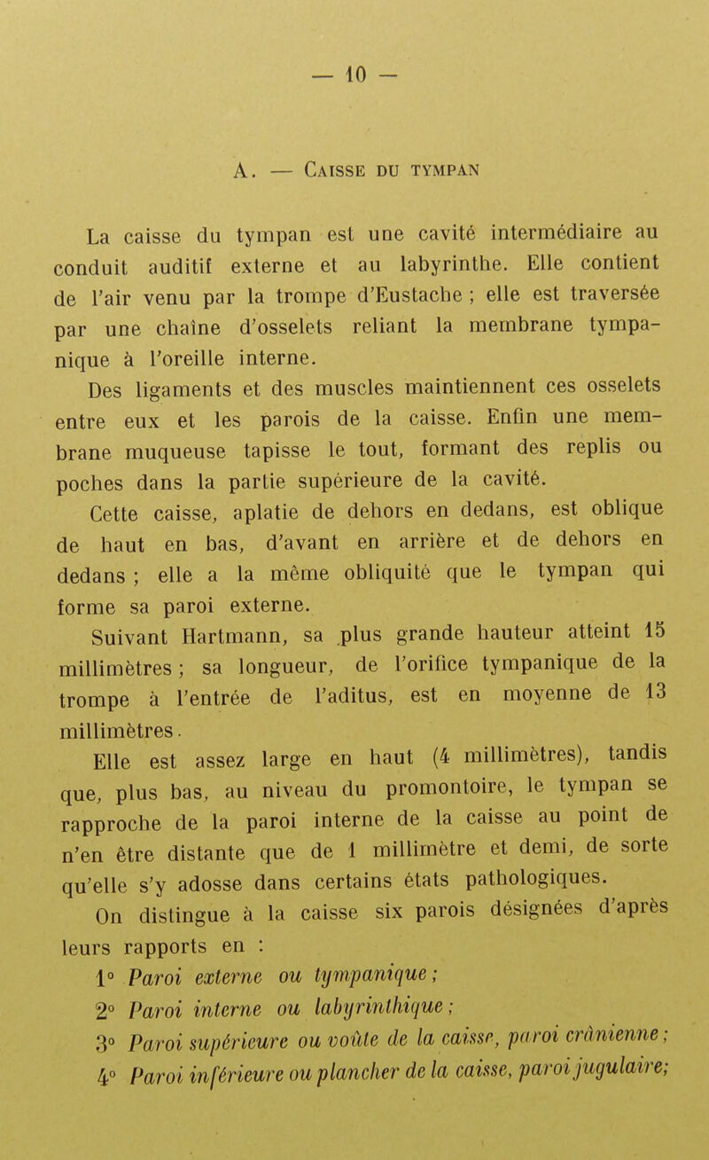 A. — Caisse du tympan La caisse du tympan est une cavité intermédiaire au conduit auditif externe et au labyrinthe. Elle contient de l'air venu par la trompe d'Eustache ; elle est traversée par une chaîne d'osselets reliant la membrane tympa- nique à l'oreille interne. Des ligaments et des muscles maintiennent ces osselets entre eux et les parois de la caisse. Enfin une mem- brane muqueuse tapisse le tout, formant des replis ou poches dans la partie supérieure de la cavité. Cette caisse, aplatie de dehors en dedans, est oblique de haut en bas, d'avant en arrière et de dehors en dedans ; elle a la même obliquité que le tympan qui forme sa paroi externe. Suivant Hartmann, sa .plus grande hauteur atteint 15 millimètres; sa longueur, de l'orifice tympanique de la trompe à l'entrée de l'aditus, est en moyenne de 13 millimètres. Elle est assez large en haut (4 millimètres), tandis que, plus bas, au niveau du promontoire, le tympan se rapproche de la paroi interne de la caisse au point de n'en être distante que de 1 millimètre et demi, de sorte qu'elle s'y adosse dans certains états pathologiques. On distingue à la caisse six parois désignées d'après leurs rapports en : IvParoi externe ou tympanique; 2 Paroi interne ou labyriiithique ; 30 Paroi supérieure ou voûte de la caisse, paroi crânienne; 4° Paroi inférieure ou plancher de la caisse, paroi jugulaire;