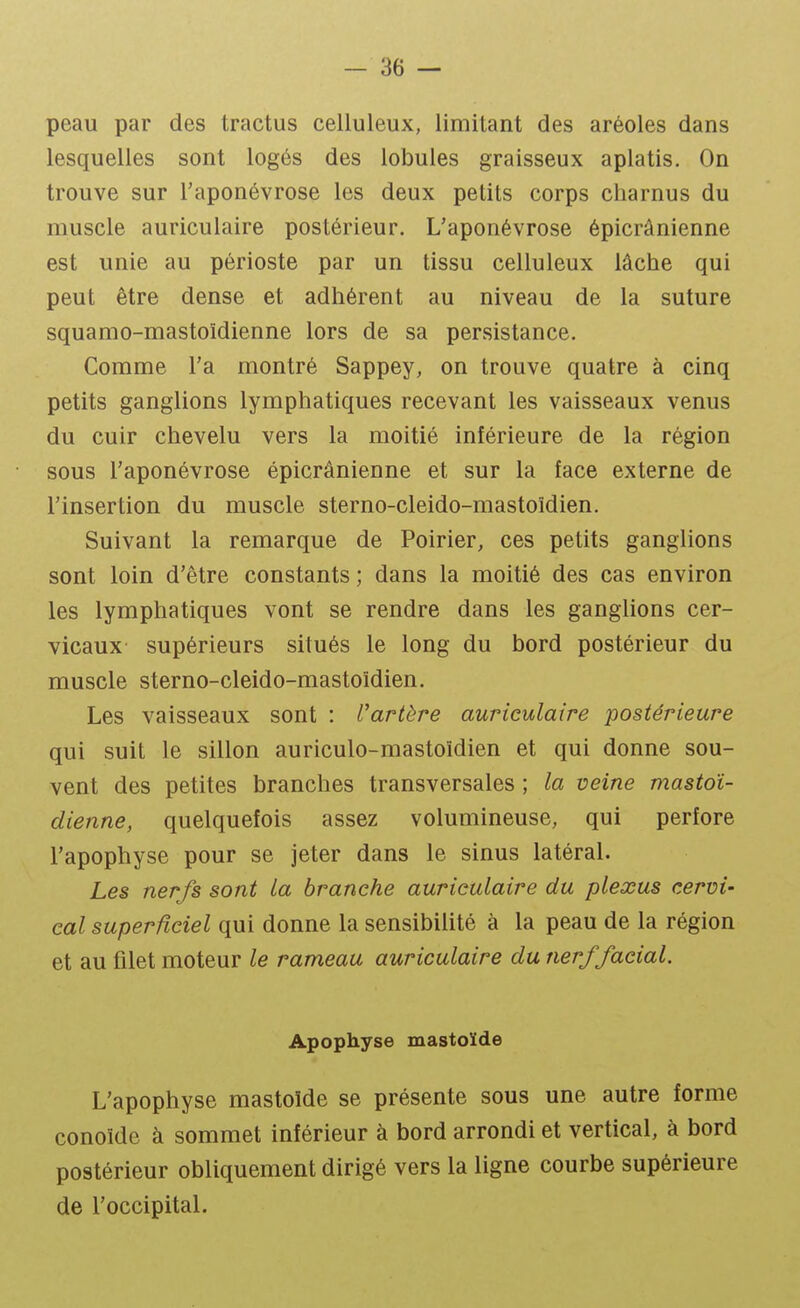 peau par des tractus celluleux, limitant des aréoles dans lesquelles sont logés des lobules graisseux aplatis. On trouve sur l'aponévrose les deux petits corps charnus du muscle auriculaire postérieur. L'aponévrose épicrânienne est unie au périoste par un tissu celluleux lâche qui peut être dense et adhérent au niveau de la suture squamo-mastoïdienne lors de sa persistance. Comme l'a montré Sappey, on trouve quatre à cinq petits ganglions lymphatiques recevant les vaisseaux venus du cuir chevelu vers la moitié inférieure de la région sous l'aponévrose épicrânienne et sur la face externe de l'insertion du muscle sterno-cleido-mastoïdien. Suivant la remarque de Poirier, ces petits ganglions sont loin d'être constants ; dans la moitié des cas environ les lymphatiques vont se rendre dans les ganglions cer- vicaux supérieurs situés le long du bord postérieur du muscle sterno-cleido-mastoïdien. Les vaisseaux sont : Vartère auriculaire postérieure qui suit le sillon auriculo-mastoïdien et qui donne sou- vent des petites branches transversales ; la veine mastoï- dienne, quelquefois assez volumineuse, qui perfore l'apophyse pour se jeter dans le sinus latéral. Les nerfs sont la branche auriculaire du plexus cervi- cal superficiel qui donne la sensibilité à la peau de la région et au filet moteur le rameau auriculaire du nerf facial. Apophyse mastoïde L'apophyse mastoïde se présente sous une autre forme conoïde à sommet inférieur à bord arrondi et vertical, à bord postérieur obliquement dirigé vers la ligne courbe supérieure de l'occipital.