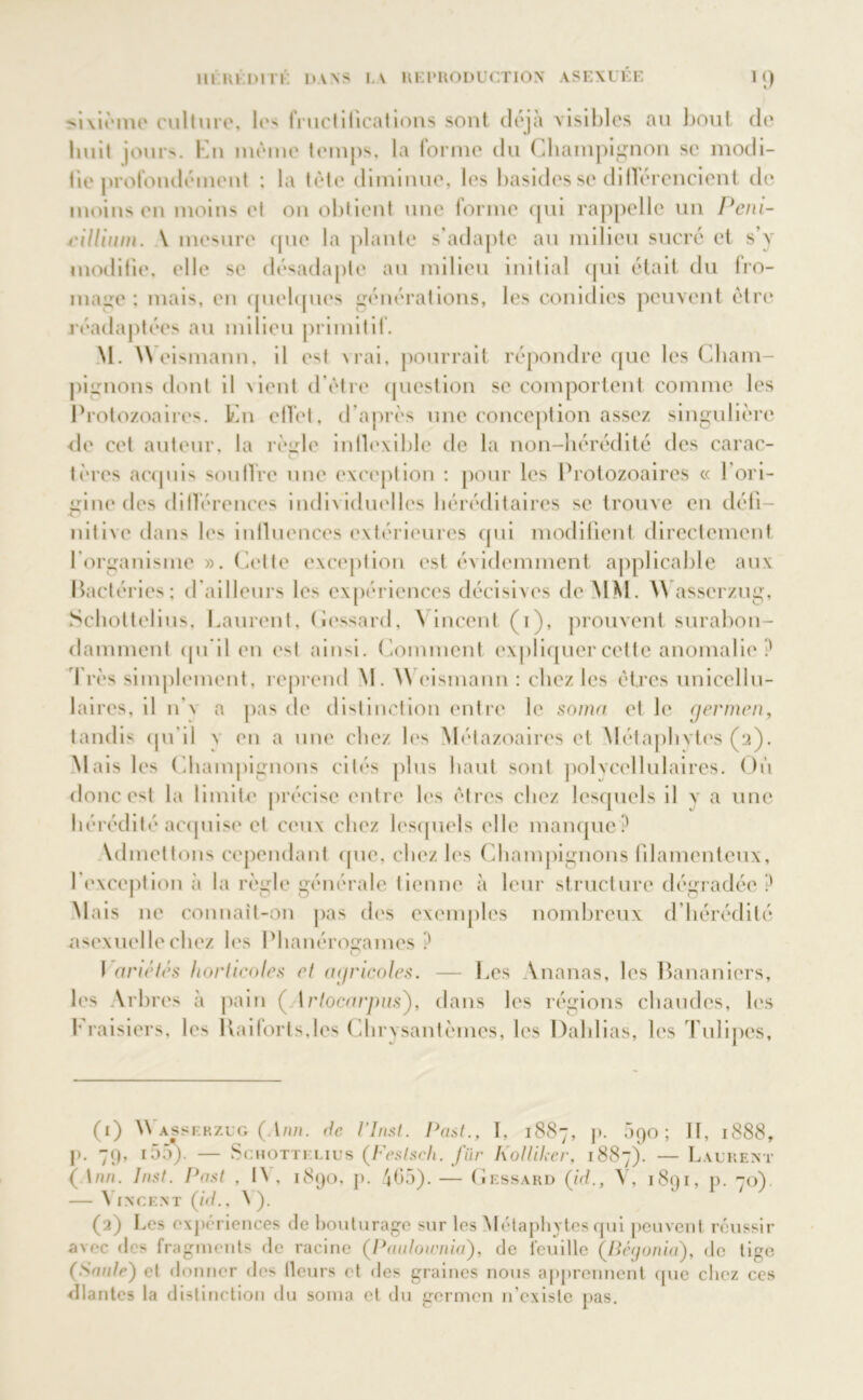 UIKKDl ri: 1)A\S LA U K PRODUCTION ASEXUÉE J9 sixième culture, les fructifications sont déjà visibles au boni de huit jours. Kn même temps, la forme du Champignon se modi- fie profondément : la tète diminue, les basides se différencient de moins en moins et on obtient une forme qui rappelle un Péni- cillium. \ mesure que la plante s’adapte au milieu sucré et s’y modifie, elle se désadapté au milieu initial qui était du Iro- mage : mais, en quelques générations, les conidies peuvent être réadaptées au milieu primitif. M. Y\ cismann, il est vrai, pourrait répondre que les Cham- pignons dont il Cent d’être question se comportent comme les Protozoaires. En effet, d’après une conception assez singulière de cet auteur, la règle inflexible de la non-hérédité des carac- tères acquis soutire une exception : pour les Protozoaires « l’ori- gine des différences individuelles héréditaires se trouve en défi- -O nitive dans les influences extérieures qui modifient directement l’organisme ». Cette exception est évidemment applicable aux Bactéries; <1 ailleurs les expériences décisives de MM. \\ asscrzug, Schottelius, Laurent, (lessard, Vincent (i), prouvent surabon- damment qu'il en est ainsi. Comment expliquer cette anomalie ? I rès simplement, reprend M. \\ cismann : chez les êtres uniccllu- laires, il n’\ a pas de distinction entre le somn et le germon, tandis qu’il n en a une chez les Métazoaires et Métapbvtes (a). Mais les Champignons cités plus haut sont polycellulaires. Où donc est la limite précise entre 1rs êtres chez lesquels il y a une hérédité acquise et ceux chez lesquels elle, manque? Vdmcttons cependant que, chez les Champignons filamenteux, 1 exception à la règle générale tienne «à leur structure dégradée? Mais ne connait-on pas des exemples nombreux d’hérédité ascxucllechez les Phanérogames? O 1 ariétês horticoles et cif/ricoles. — Les Ananas, les Bananiers, les Arbres à pain ( trtocarpas'), dans les régions chaudes, les fraisiers, les Raiforts,les Chrysantèmes, les Dahlias, les Tulipes, (1) Wasserzug (Ann. de l’Inst. Past., I, 1887, p. 090; II, 1888, p. 79, 155). — Schottelius (Festsch. fur Kolliker, 1887). — Laurent ( t/m. Inst. Past , IV, 1890, p. 405). — Gessard (id., Y, 1891, p. 70) — Vincent (id.. Y). (2) Les expériences de bouturage sur les Métapbvtes qui peuvent roussir avec des fragments de racine (Paulownia), de feuille (Bégonia), de tige (Smde) et donner des Heurs et des graines nous apprennent que chez ces dlantes la distinction du soma et du germon if existe pas.