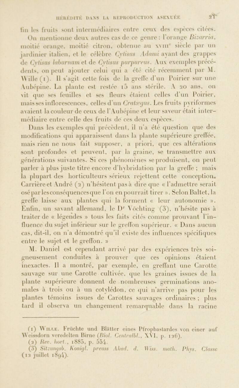 lin les fruits sont intermédiaires entre ceux des espèces citées. On mentionne deux autres cas de ce genre : l’orange Bizarria, moitié orange, moitié citron, obtenue au xvni' siècle par un jardinier italien, et le célèbre Cytisus Adami ayant des grappes de Cytisus Inhumaine l de Cvtisus purpureus. Vux exemples précé- dents, on peut ajouter celui qui a été cité récemment par M. \\ i 1 le (i). Il s’agit cette fois de la greffe d’un Poirier sur une Vubépine. La plante est restée i5 ans stérile. A 20 ans, on nit que ses feuilles et ses Heurs étaient celles d’un Poirier, mais ses inflorescences, celles d’un CraLvijus. Les fruits pyriformes avaient la couleur de ceux de l'Aubépine et leur saveur était inter- médiaire entre celle des fruits de ces deux espèces. Dans les exemples qui précèdent, il n’a été question que des modifications qui apparaissent dans la plante supérieure greffée, mais rien ne nous fait supposer, a priori, que ces altérations sont profondes et peuvent, par la graine, se transmettre aux générations suivantes. Si ces phénomènes se produisent, on peut parler à plus juste titre encore d’hybridation par la greffe ; mais la plupart des horticulteurs sérieux rejettent cette conception* Carrière et Vndré (2) n’hésitent pas à dire que «l’admettre serait osé par les conséquences que l’on en pourrait tirer ». Selon Baltet, la greffe laisse aux plantes qui la forment « leur autonomie ». Enfin, un savant allemand, le l)r Vôeliting (3), n’hésite pas à traiter de « légendes » tous les faits cités comme prouvant l’in- fluence du sujet inférieur sur le greffon supérieur. « Dans aucun cas, dit-il, on n’a démontré qu’il existe des influences spécifiques entre le sujet et le greffon. » M. Daniel est cependant arrivé par des expériences très soi- gneusement conduites à prouver que ces opinions étaient inexactes. Il a montré, par exemple, en greffant une Carotte sauvage sur une Carotte cultivée, que les graines issues de la plante supérieure donnent de nombreuses germinations ano- males à trois ou à un cotylédon, ce qui n’arrive pas pour les plantes témoins issues de Carottes sauvages ordinaires ; plus tard il observa un changement remarquable dans la racine fi) W ILT.E. Irüchte und Blatter eines Pfropbastardes von einer auf \\ eissdorn veredelten Birne (Biol. Centralbl., XVI, p. 12O). (2) Rev. hort., 1885, p. 554. (3) Sitzungsb. Konigl. preuss Akad. d. Wiss. math. Phys. Classe (12 juillet 18()4)-