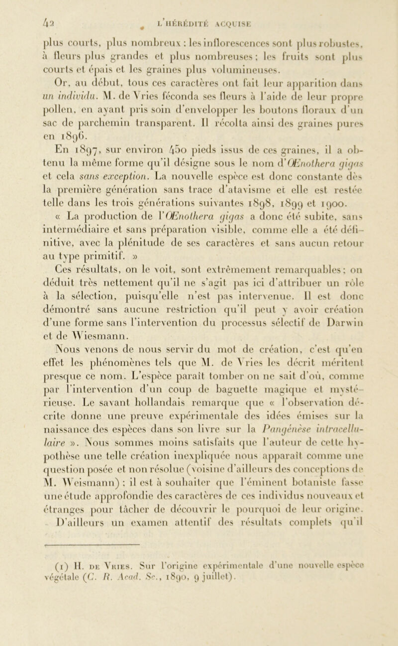 pllis courts, plus nombreux ; les inflorescences sont plus robustes, à fleurs plus grandes et plus nombreuses; les fruits sont plus courts et épais et les graines plus volumineuses. Or, au début, tous ces caractères ont fait leur apparition dam un individu. M. de Vries féconda ses fleurs à l aide de leur propre pollen, en ayant pris soin d’envelopper les boutons floraux d’un sac de parchemin transparent. Il récolta ainsi des graines pures en 189b. En 1897, sur environ 45o pieds issus de ces graines, il a ob- tenu la même forme qu’il désigne sous le nom d’Œnothera gigas et cela sans exception. La nouvelle espèce est donc constante dès la première génération sans trace d’atavisme et elle est restée telle dans les trois générations suivantes 1898, 1899 et 1900. « La production de Y Œnothera gigas a donc été subite, sans intermédiaire et sans préparation visible, comme elle a été défi- nitive, avec la plénitude de ses caractères et sans aucun retour au type primitif. » Ces résultats, on le voit, sont extrêmement remarquables; on déduit très nettement qu’il ne s’agit pas ici d’attribuer un rôle à la sélection, puisqu’elle n’est pas intervenue. 11 est donc démontré sans aucune restriction qu’il peut v avoir création d’une forme sans l’intervention du processus sélectif de Darwin et de Wiesmann. Nous venons de nous servir du mot de création, c’est qu’en effet les phénomènes tels que M. de 4 ries les décrit méritent presque ce nom. L’espèce paraît tomber on 11e sait d’où, comme par l’intervention d’un coup de baguette magique et mysté- rieuse. Le savant hollandais remarque que « l’observation dé- crite donne une preuve expérimentale des idées émises sur la naissance des espèces dans son livre sur la Pangénèse intracellu- laire ». Nous sommes moins satisfaits que l’auteur de cette hy- pothèse une telle création inexpliquée nous apparaît comme une question posée et non résolue (voisine d’ailleurs des conceptions de M. Weismann) ; il est à souhaiter que l’éminent botaniste fasse une étude approfondie des caractères de ces individus nouveaux et étranges pour tâcher de découvrir le pourquoi de leur origine. D’ailleurs un examen attentif des résultats complets qu'il (1) H. de Vries. Sur l'origine expérimentale d'une nouvelle espèce végétale (G. /?. Acad. Sc., 1890, 9 juillet).