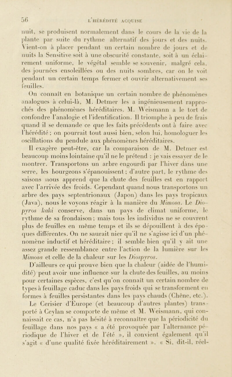 nuit, se produisent normalement dans le cours de la \ie de la plante par suite du rythme alternatif des jours et des nuits. \ ient-on à placer pendant un certain nombre de joui s et de nuits la Sensitive soit à une obscurité constante, soit à un éclai- rement uniforme, le végétal semble se souvenir, malgré cela, des journées ensoleillées ou des nuits sombres, car on le voit pendant un certain temps fermer et ouvrir alternativement ses feuilles. On connaît en botanique un certain nombre de phénomènes analogues à celui-là, M. Detmer les a ingénieusement rappro- chés des phénomènes héréditaires. M. Weismann a le tort de confondre l’analogie et l’identification. 11 triomphe à peu de frais quand il se demande ce que les faits précédents ont à faire avec l’hérédité ; on pourrait tout aussi bien, selon lui, homologuer les oscillations du pendule aux phénomènes héréditaires. Il exagère peut-être, car la comparaison de M. Detmer est beaucoup moins lointaine qu’il ne le prétend : je vais essaver de le montrer. Transportons un arbre engourdi par l’iiiver dans une serre, les bourgeons s’épanouissent ; d’autre part, le rythme de> saisons nous apprend que la chute des feuilles est en rapport avec l’arrivée des froids. Cependant quand nous transportons un arbre des pays septentrionaux (Japon) dans les pavs tropicaux (Java), nous le voyons réagir à la manière du Mimosa. Le Di<>- pyros kaki conserve, dans un pays de climat uniforme, le rythme de sa frondaison; mais tous les individus ne se couvrent plus de feuilles en même temps et ils se dépouillent à des épo- ques différentes. On ne saurait nier qu’il ne s’agisse ici d’un phé- nomène inductif et héréditaire ; il semble bien qu’il y ait une assez grande ressemblance entre l’action de la lumière sur les Mimosa et celle de la chaleur sur les Diospvros. I) ailleurs ce qui prouve bien que la chaleur (aidée de l’humi- dité) peut avoir une influence sur la chute des feuilles, au moins pour certaines espèces, c’est qu’on connaît un certain nombre de types à feuillage caduc dans les pays froids (pii se transforment en formes à feuilles persistantes dans les pays chauds (Chêne, etc.). Le Cerisier d’Europe (et beaucoup d’autres plantes) trans- porté à Cevlan se comporte de même et M. \\ eismann, (pii con- naissait ce cas, n’a pas hésité à reconnaître que la périodicité du feuillage dans nos pays « a été provoquée par l’alternance pe riodique de l’hiver et de l'été », il convient également qu il s’agit « d’une qualité fixée héréditairement ». « Si, dit-il, réel-