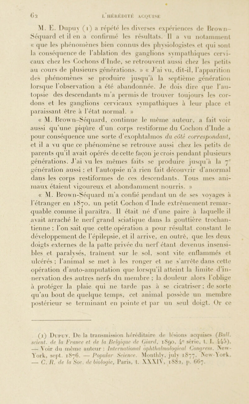 # fl 2 I. llEltKMTI! VU)I 1 si-: INI. E. Dupu\ (i) a répété les diverses expériences de Brown Séquard et il en a confirmé les résultats. Il a vu notamment « que les phénomènes bien connus des phvsiologistes et qui sont la conséquence de l’ablation des ganglions sympathiques cer\i- caux chez les Cochons d’Inde, se retrouvent aussi chez les petit-, au cours de plusieurs générations. » « J'ai vu, dit-il, l’apparition des phénomènes se produire jusqu’à la septième génération lorsque l’observation a été abandonnée. Je dois dire que l’au- topsie des descendants m’a permis de trouver toujours les cor- dons et les ganglions cervicaux sympathiques à leur place et paraissant être à l’état normal. » « M. Brown-Séquard, continue le même auteur, a fait voir aussi qu’une piqûre d’un corps restiforme du Cochon d’Inde a pour conséquence une sorte d’exophtalmos du coté correspondant, et il a vu que ce phénomène se retrouve aussi chez les petits de parents qu’il avait opérés de cette façon je crois pendant plusieurs générations. J’ai au les mêmes faits se produire jusqu’à la 7 génération aussi ; et l’autopsie n’a rien fait découvrir d’anormal dans les corps restiformes de ces descendants. Tous mes ani- maux étaient vigoureux et abondamment nourris. » « M. Brown-Séquard m’a confié pendant un de ses voyages à l'étranger en 1870, un petit Cochon d’Inde extrêmement remar- quable comme il paraîtra. Il était né d’une paire à laquelle il avait arraché le nerf grand sciatique dans la gouttière trochan- tienne ; l’on sait que cette opération a pour résultat constant le développement de 1 épilepsie, et il arrive, en outré, que les deux doigts externes de la patte privée du nerf étant devenus insensi- bles et paralysés, traînent sur le sol, sont vite enflammés et ulcérés ; l’animal se met à les ronger et ne s’arrête dans cette opération d’auto-amputation que lorsqu’il atteint la limite d’in- nervation des autres nerfs du membre ; la douleur alors l’oblige à protéger la plaie qui ne tarde pas à se cicatriser ; de sorte qu’au bout de quelque temps, cet animal possède un membre postérieur se terminant en pointe et par un seul doigt. Or ce (1) Dupuy. De la transmission héréditaire de lésions acquises (Unit, scient, de ta France et de ta Belgique de Giard, 1890, série, t. I. \ »•>). — V oir du même auteur : International ophthalmological Congress. New - York, sept. 187(1. —Popular Science. Monthly, julv 1877. New-Nork. — C. B. de ta Soc. de biologie, Paris, t. \\\l\ , 1882, p. O67.
