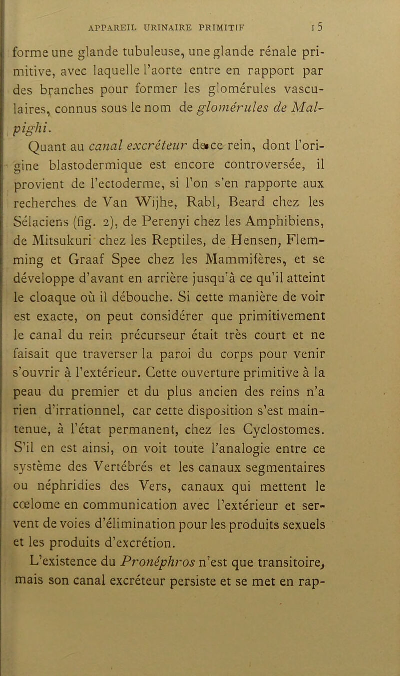 forme une glande tubuleuse, une glande rénale pri- mitive, avec laquelle l’aorte entre en rapport par des branches pour former les glomérules vascu- laires, connus sous le nom de glomérules de Mal- pighi. Quant au cajial excréteur de»ce rein, dont l’ori- ^ gine blastodermique est encore controversée, il provient de l’ectoderme, si l’on s’en rapporte aux recherches de Van Wijhe, Rabl, Beard chez les Sélaciens (fig- 2), de Perenyi chez les Amphibiens, de Mitsukuri chez les Reptiles, de Hensen, Flem- ming et Graaf Spee chez les Mammifères, et se développe d’avant en arrière jusqu’à ce qu’il atteint le cloaque où il débouche. Si cette manière de voir est exacte, on peut considérer que primitivement le canal du rein précurseur était très court et ne faisait que traverser la paroi du corps pour venir s’ouvrir à l’extérieur. Cette ouverture primitive à la peau du premier et du plus ancien des reins n’a rien d’irrationnel, car cette disposition s’est main- tenue, à l’état permanent, chez les Cyclostomes. S’il en est ainsi, on voit toute l’analogie entre ce système des Vertébrés et les canaux segmentaires ou néphridies des Vers, canaux qui mettent le cœlome en communication avec l’extérieur et ser- vent de voies d’élimination pour les produits sexuels et les produits d’excrétion. L’existence du Pronéphros n’est que transitoire^ mais son canal excréteur persiste et se met en rap-