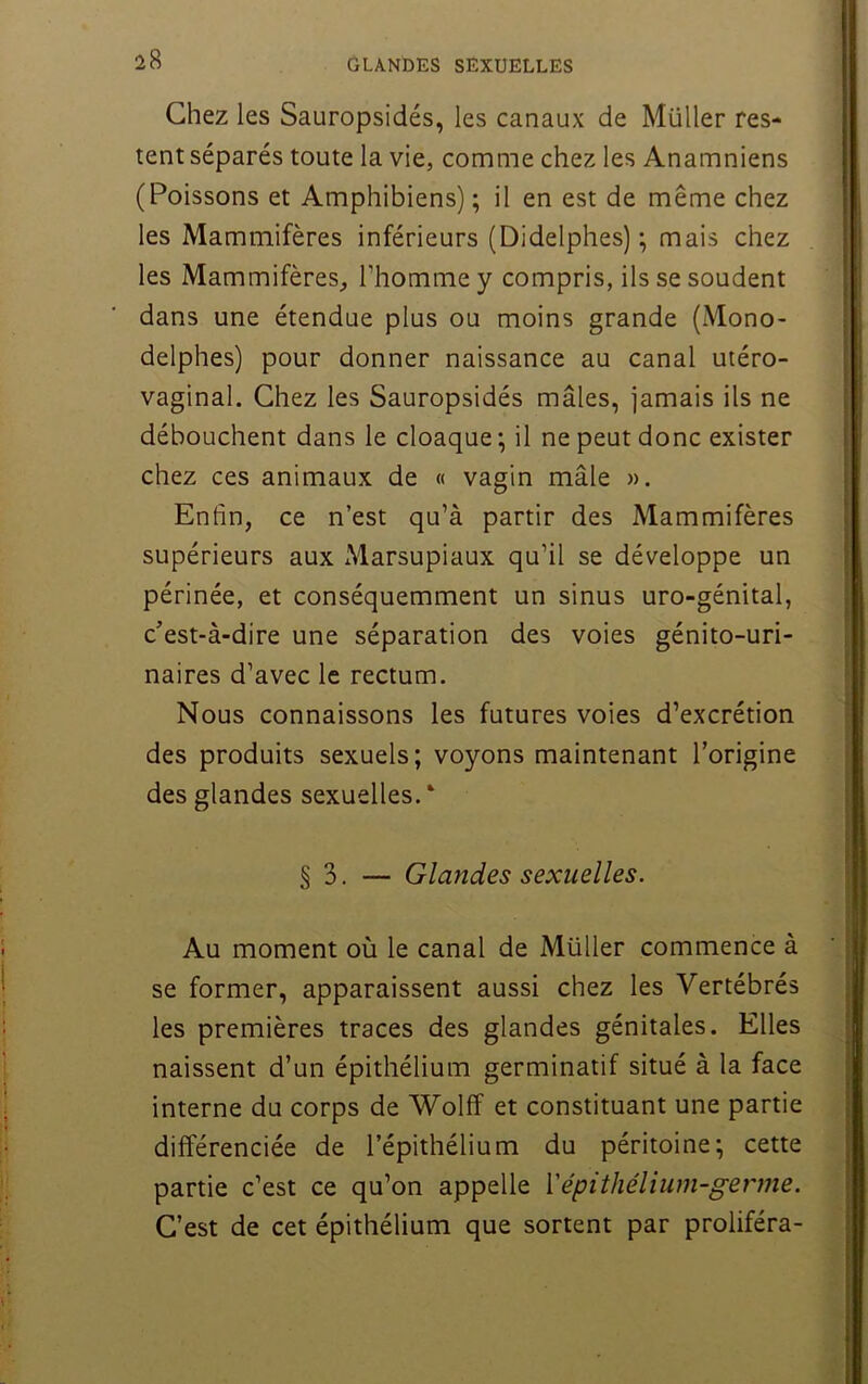 Chez les Sauropsidés, les canaux de Müller res- tent séparés toute la vie, comme chez les Anamniens (Poissons et Amphibiens) ; il en est de même chez les Mammifères inférieurs (Didelphes) ; mais chez \ les Mammifères, l’homme y compris, ils se soudent dans une étendue plus ou moins grande (Mono- delphes) pour donner naissance au canal utéro- vaginal. Chez les Sauropsidés mâles, jamais ils ne débouchent dans le cloaque; il ne peut donc exister i chez ces animaux de « vagin mâle ». ■! Enfin, ce n’est qu’à partir des Mammifères ï supérieurs aux xMarsupiaux qu’il se développe un périnée, et conséquemment un sinus uro-génital, c’est-à-dire une séparation des voies génito-uri- i naires d’avec le rectum. Nous connaissons les futures voies d’excrétion des produits sexuels; voyons maintenant l’origine des glandes sexuelles.' i § 3. — Glandes sexuelles. Au moment où le canal de Müller commence à ’ i se former, apparaissent aussi chez les Vertébrés les premières traces des glandes génitales. Elles ^ naissent d’un épithélium germinatif situé à la face ^ interne du corps de Wolff et constituant une partie | différenciée de l’épithélium du péritoine; cette partie c’est ce qu’on appelle Vépithélium-germe. | C’est de cet épithélium que sortent par proliféra-