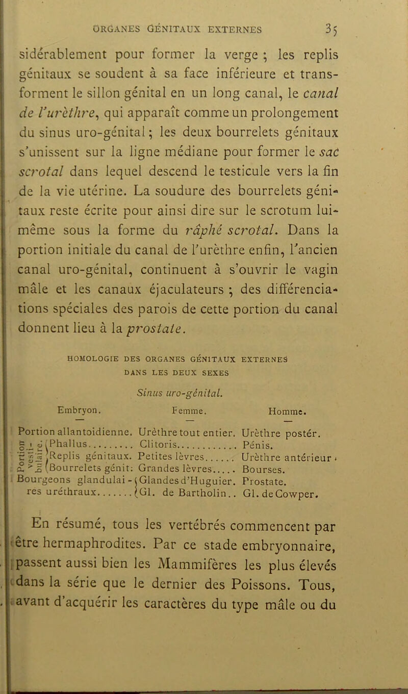 sidérablement pour former la verge ; les replis génitaux se soudent à sa face inférieure et trans- forment le sillon génital en un long canal, le canal de Vurethre^ qui apparaît comme un prolongement du sinus uro-génital ; les deux bourrelets génitaux s’unissent sur la ligne médiane pour former le saC sa'otal dans lequel descend le testicule vers la fin de la vie utérine. La soudure des bourrelets géni- taux reste écrite pour ainsi dire sur le scrotum lui- même sous la forme du râplié scrotal. Dans la portion initiale du canal de l’urèthre enfin, l’ancien canal uro-génital, continuent à s’ouvrir le vagin mâle et les canaux éjaculateurs •, des différencia- tions spéciales des parois de cette portion du canal donnent lieu à la prostate. HOMOLOGIE DES ORGANES GÉNITAUX EXTERNES DANS LES DEUX SEXES Sinus uro-génital. Embryon. Femme. Homme. Portion allantoidienne. Urèthre tout entier. Urèthre postér. §.j_ «j i Phallus Clitoris Pénis. génitaux. Petites lèvres Urèthre antérieur * £ J (Bourrelets génit; Grandes lèvres Bourses. Bourgeons glandulai -1 Glandesd’Huguier. Prostate, res uréthraux (Gl. de Bartholin.. Gl.deCowper. En résumé, tous les vertébrés commencent par être hermaphrodites. Par ce stade embryonnaire, passent aussi bien les Mammifères les plus élevés dans la série que le dernier des Poissons. Tous, avant d acquérir les caractères du type mâle ou du