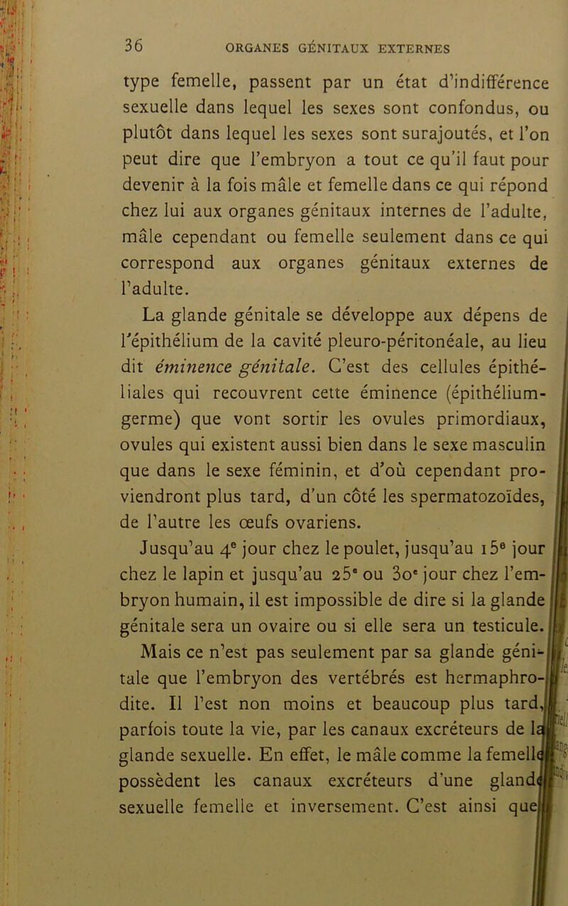 type femelle, passent par un état d’indifférence sexuelle dans lequel les sexes sont confondus, ou plutôt dans lequel les sexes sont surajoutés, et l’on peut dire que l’embryon a tout ce qu’il faut pour devenir à la fois mâle et femelle dans ce qui répond chez lui aux organes génitaux internes de l’adulte, mâle cependant ou femelle seulement dans ce qui correspond aux organes génitaux externes de l’adulte. La glande génitale se développe aux dépens de répithélium de la cavité pleuro-péritonéale, au lieu dit éminence génitale. C’est des cellules épithé- liales qui recouvrent cette éminence (épithélium- germe) que vont sortir les ovules primordiaux, ovules qui existent aussi bien dans le sexe masculin que dans le sexe féminin, et d’où cependant pro- viendront plus tard, d’un côté les spermatozoïdes, de l’autre les œufs ovariens. Jusqu’au 4® jour chez le poulet, jusqu’au i5® jour chez le lapin et jusqu’au 25* ou 3o* jour chez l’em- bryon humain, il est impossible de dire si la glande génitale sera un ovaire ou si elle sera un testicule. Mais ce n’est pas seulement par sa glande géni- tale que l’embryon des vertébrés est hermaphro-l dite. Il l’est non moins et beaucoup plus tard,| parfois toute la vie, par les canaux excréteurs de h glande sexuelle. En effet, le mâle comme lafemelh possèdent les canaux excréteurs d’une glandd sexuelle femelle et inversement. C’est ainsi quel H'r